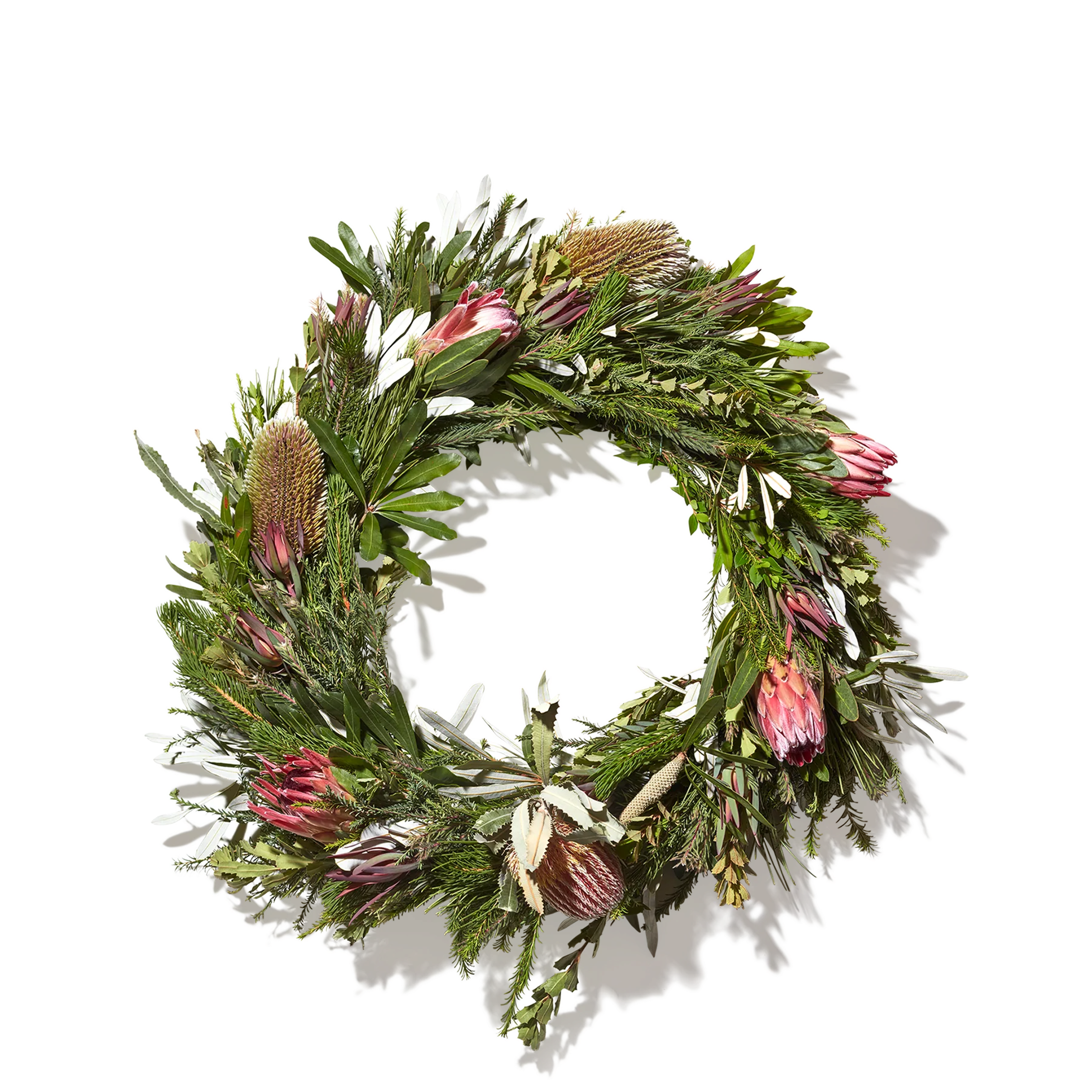 Organic Queen Protea Wreath