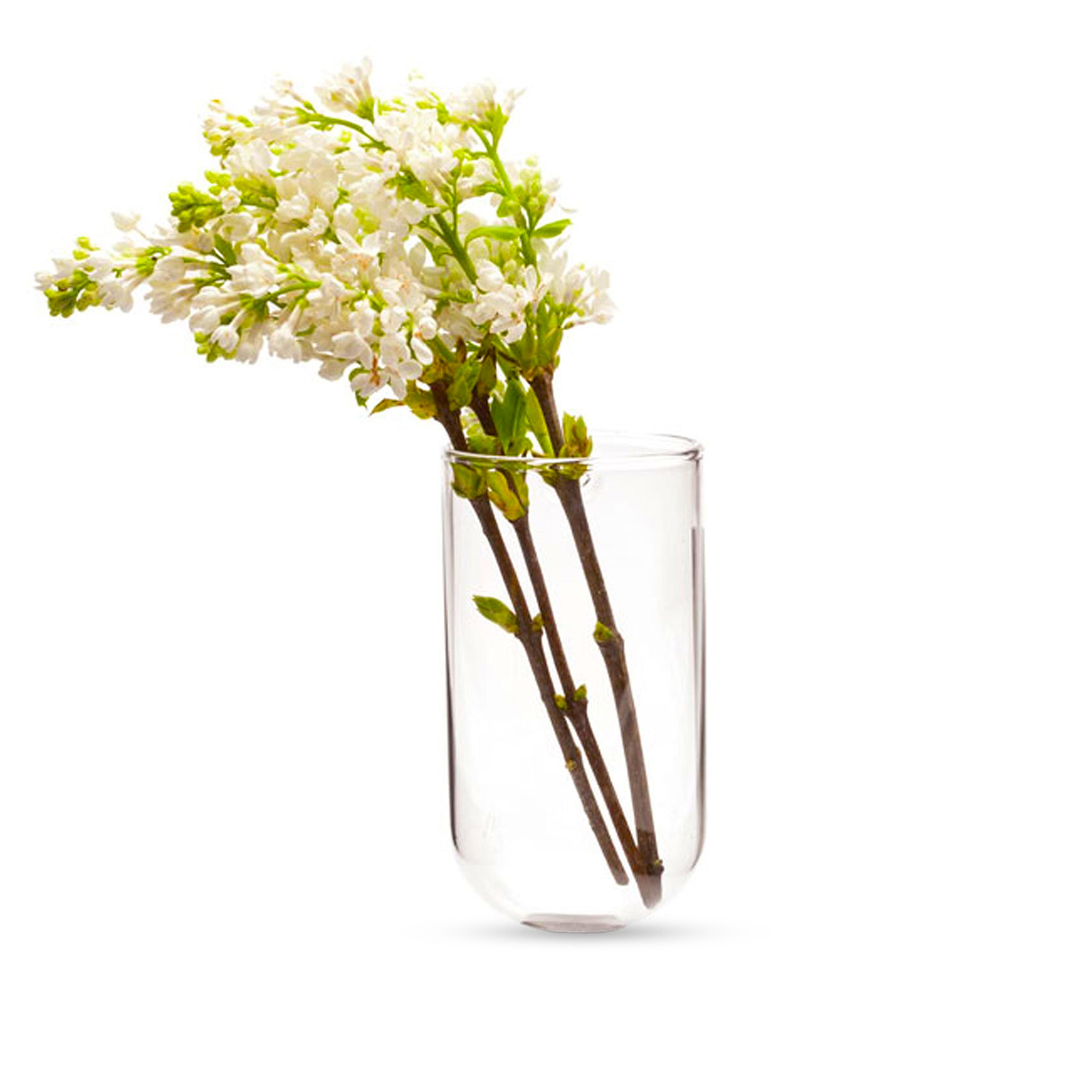 Chive, Hudson Wall Hanging Glass Vase