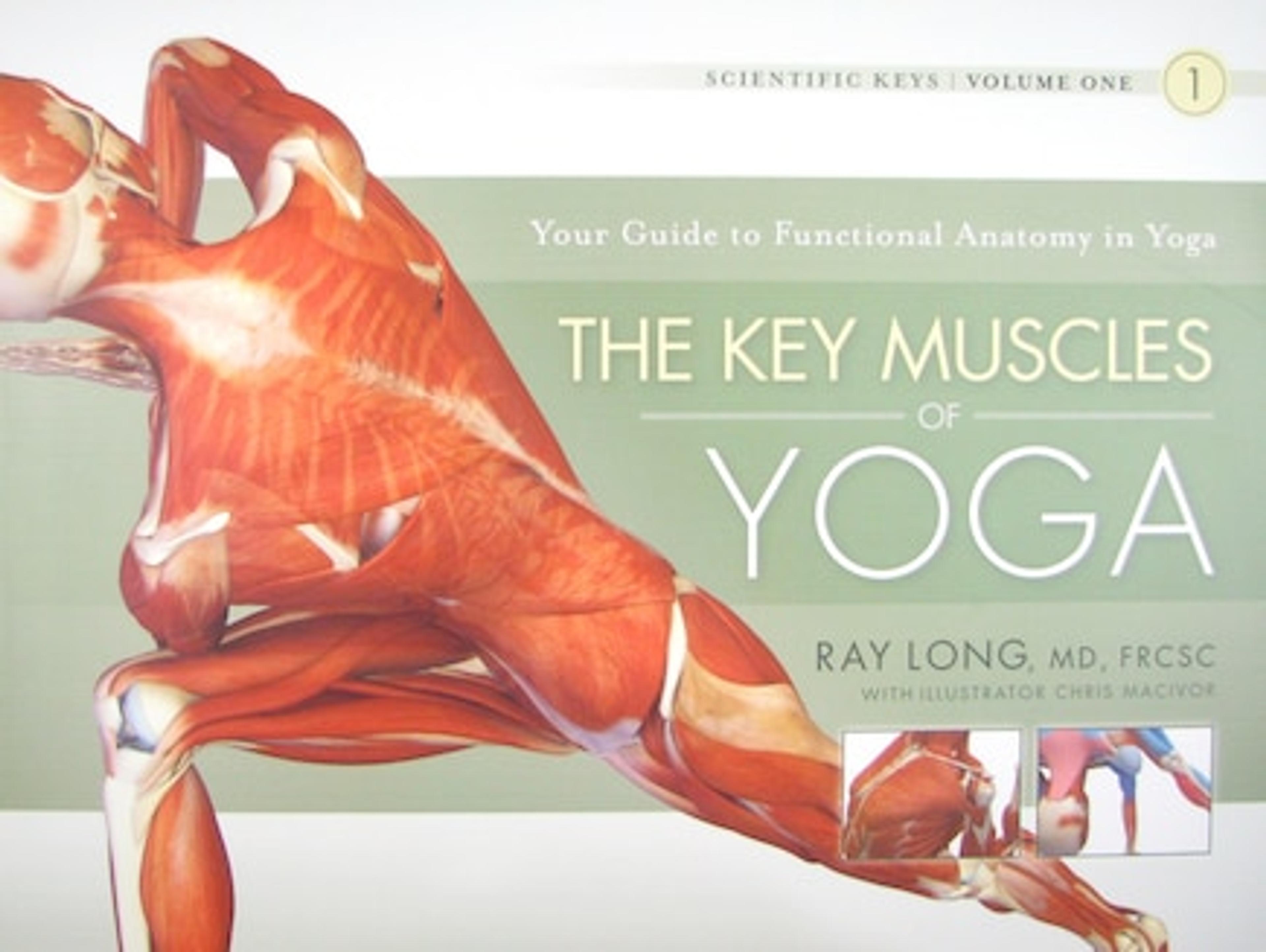 The Key Muscles of Yoga: Scientific Keys, Volume I | Indigo