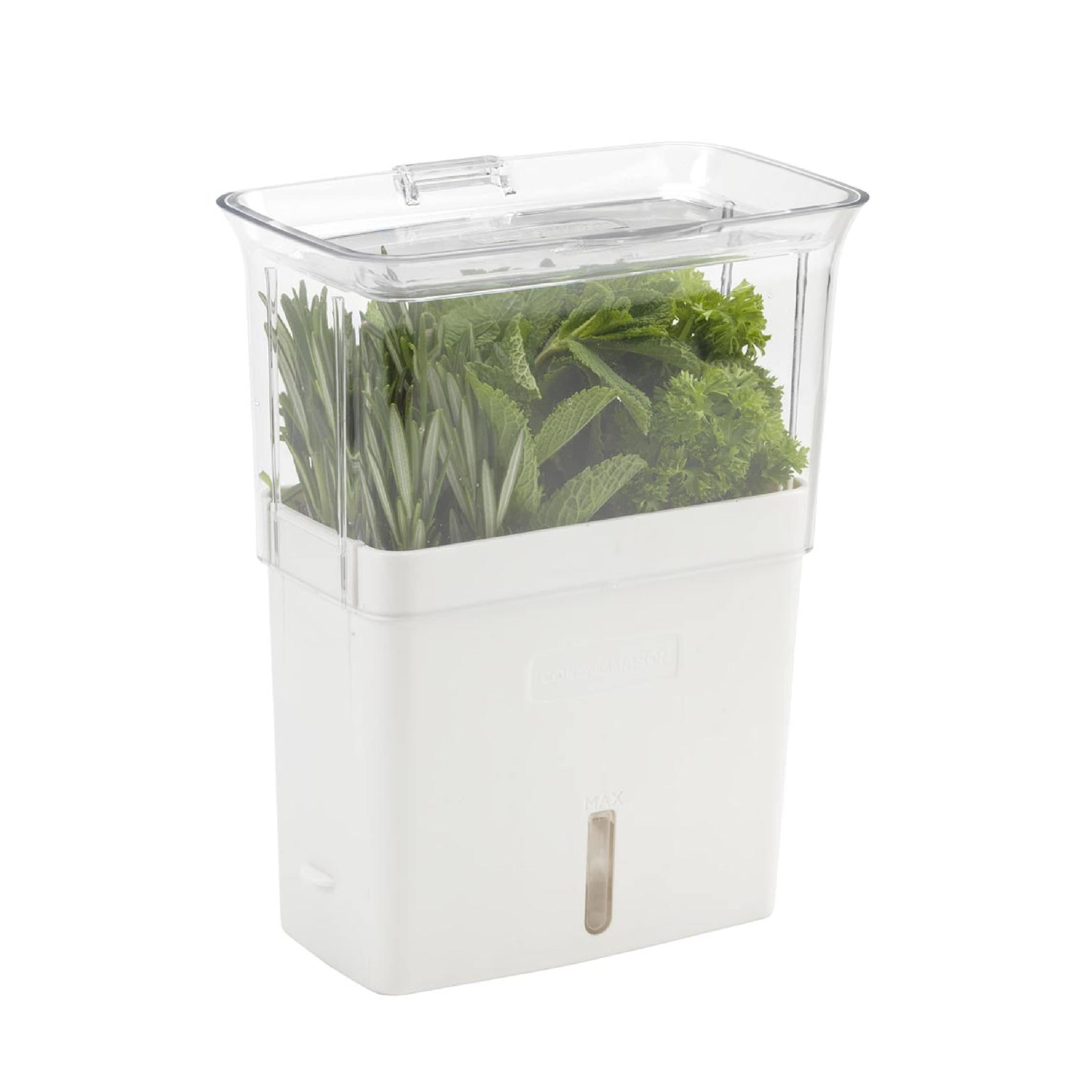 Amazon.com: COLE & MASON Fresh Herb Keeper, Container, Clear: Home & Kitchen