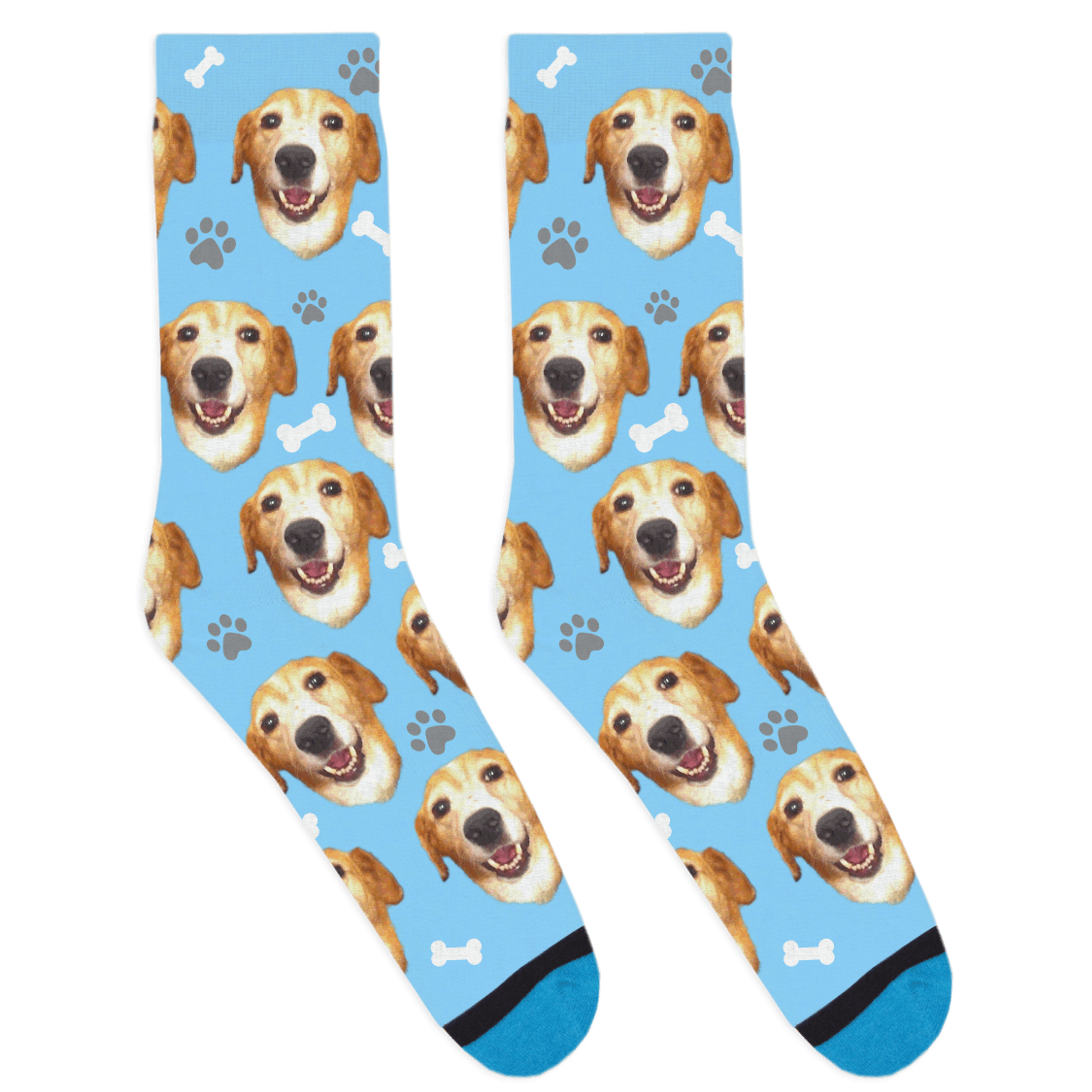 Put your Dog on Socks! - The Best Custom Dog Socks | DivvyUp