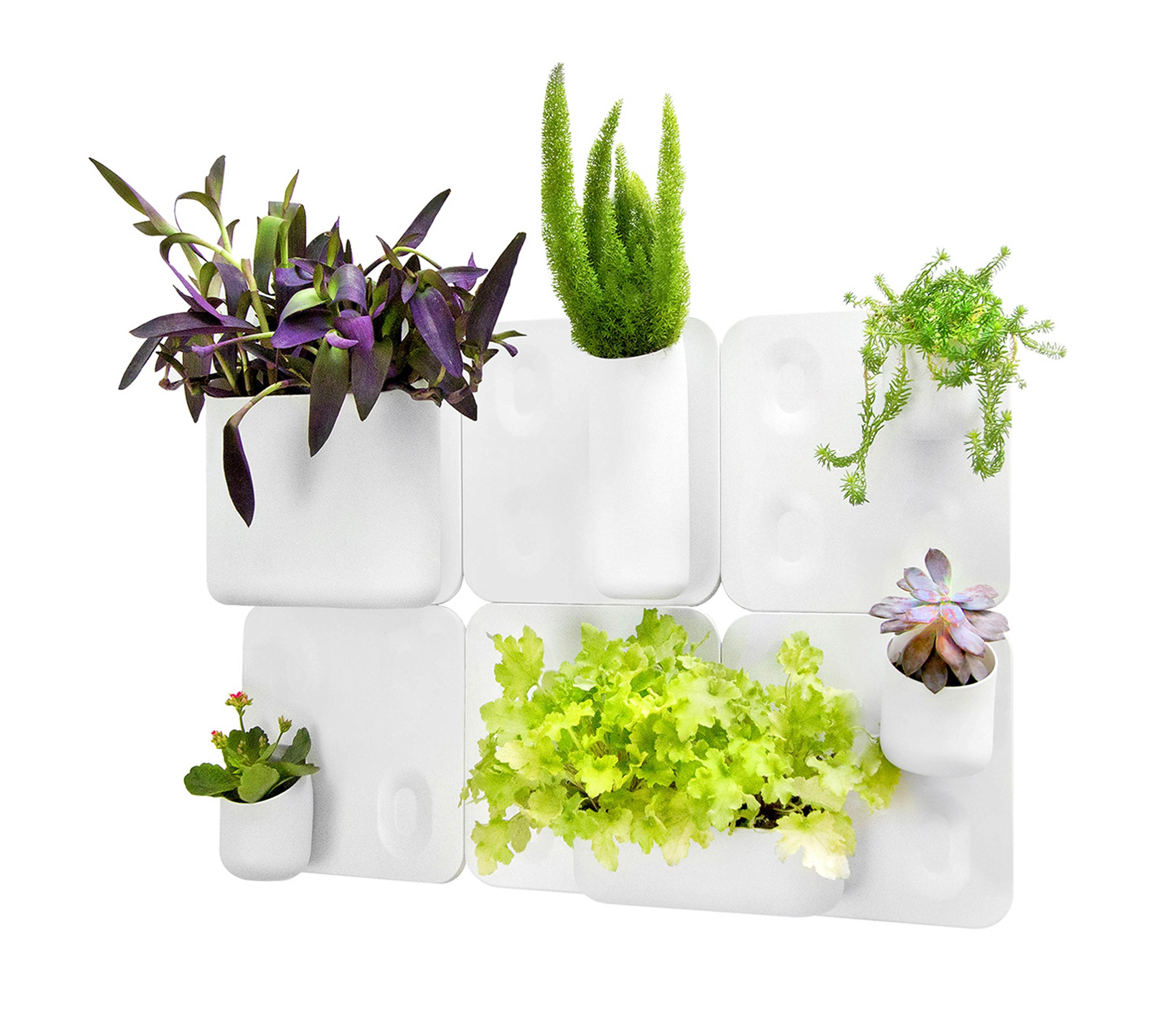 Urbio Big Happy Family Wall Planters