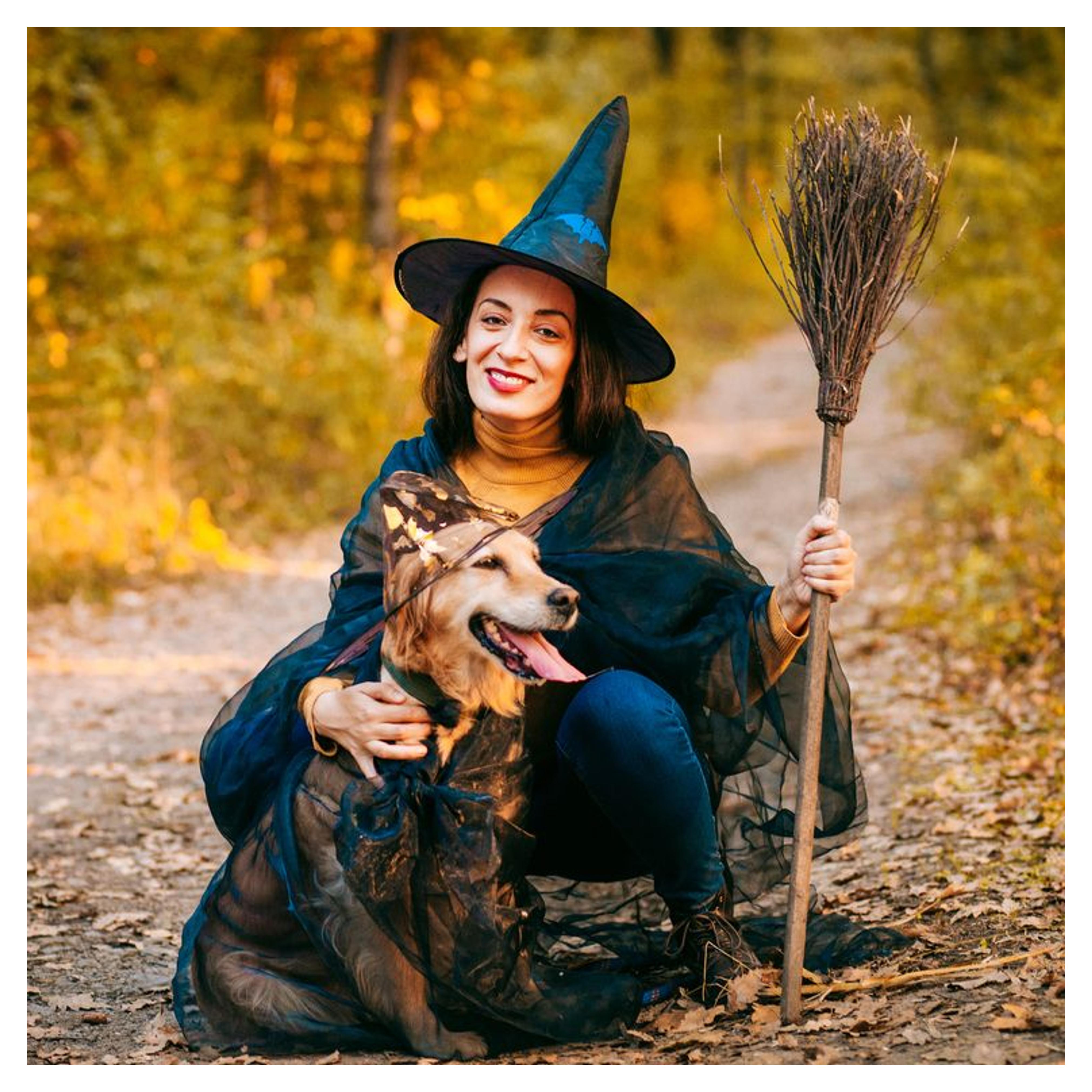 Amazon.com : Hooded Cloak Witch/Wizard Costume for Medium Pets, Dog Halloween Costume : Pet Supplies