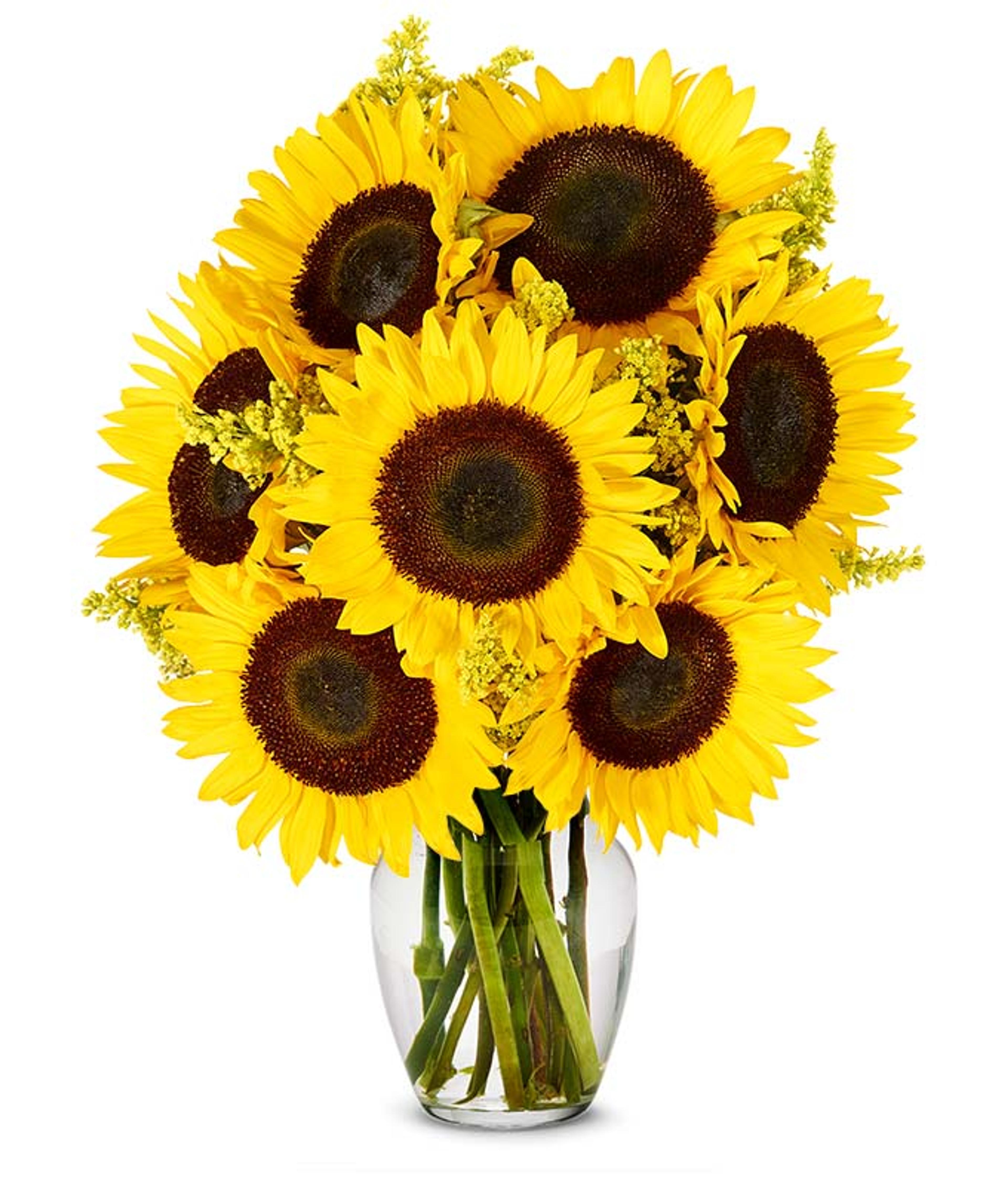 From You Flowers - Stunning Sunflowers with Free Vase (Fresh Flowers) - Walmart.com