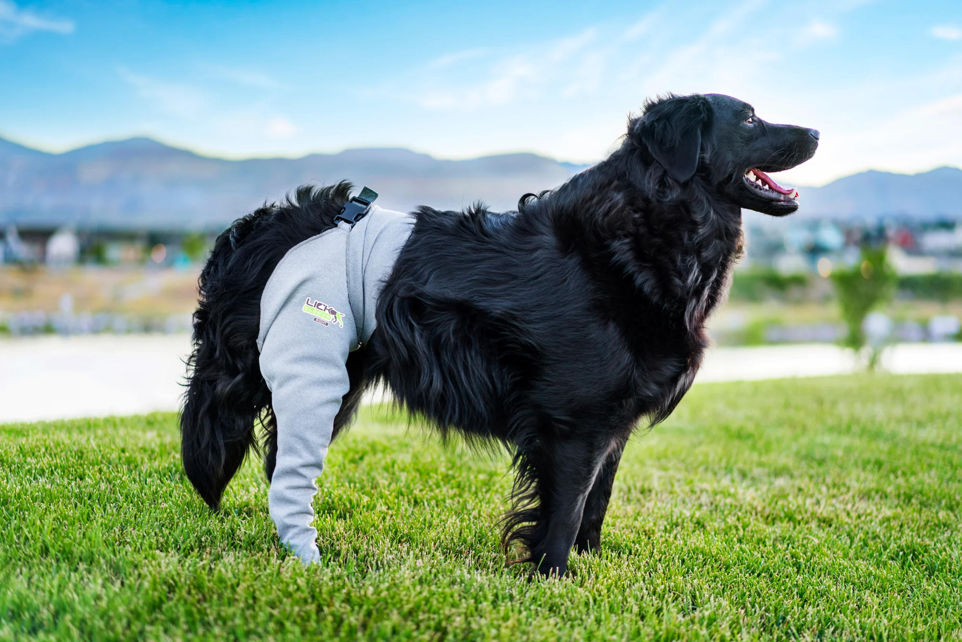 Lick Sleeve: Dog Front & Hind Legs Protection | Lick Sleeve