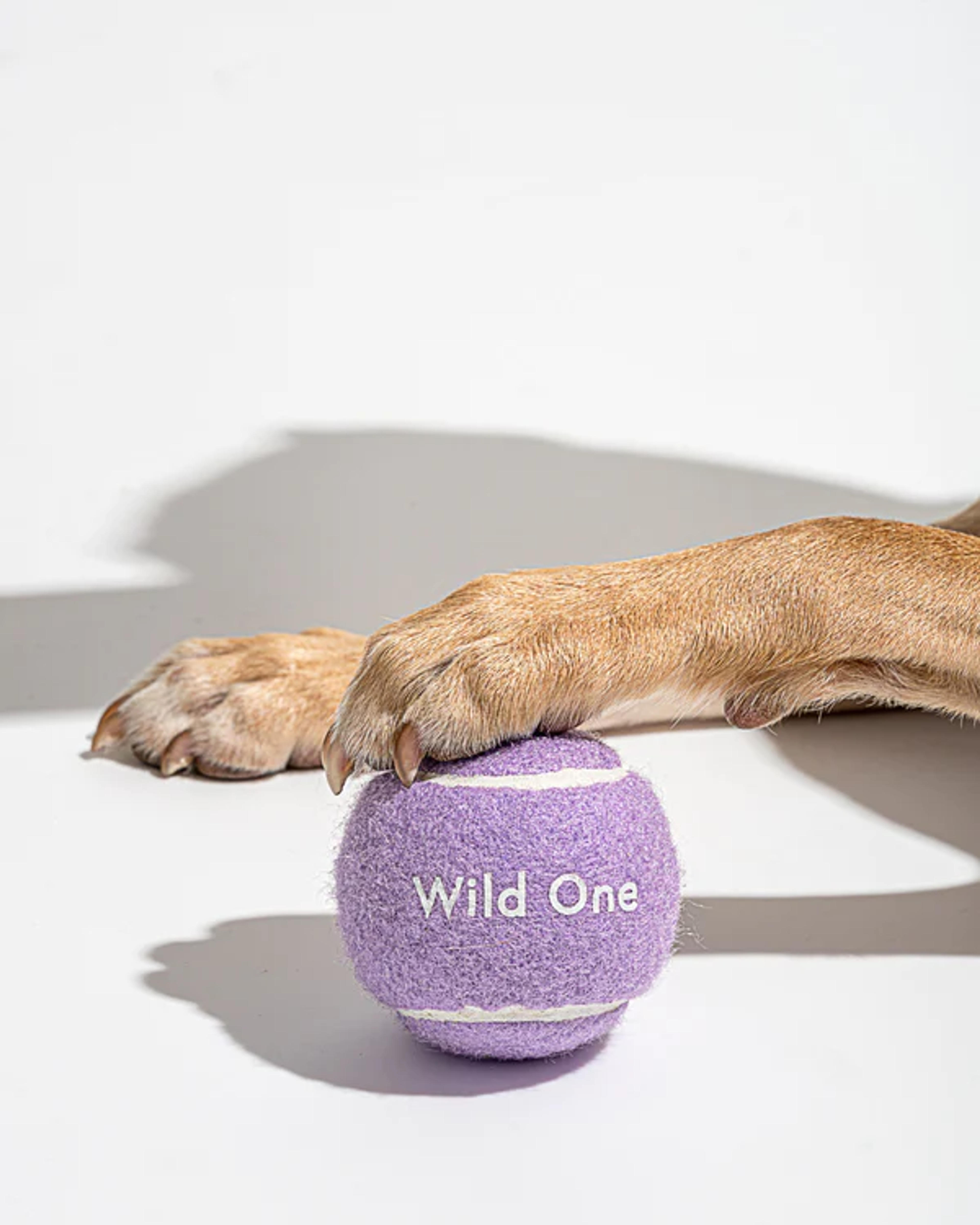 Tennis Balls for Dogs | Wild One