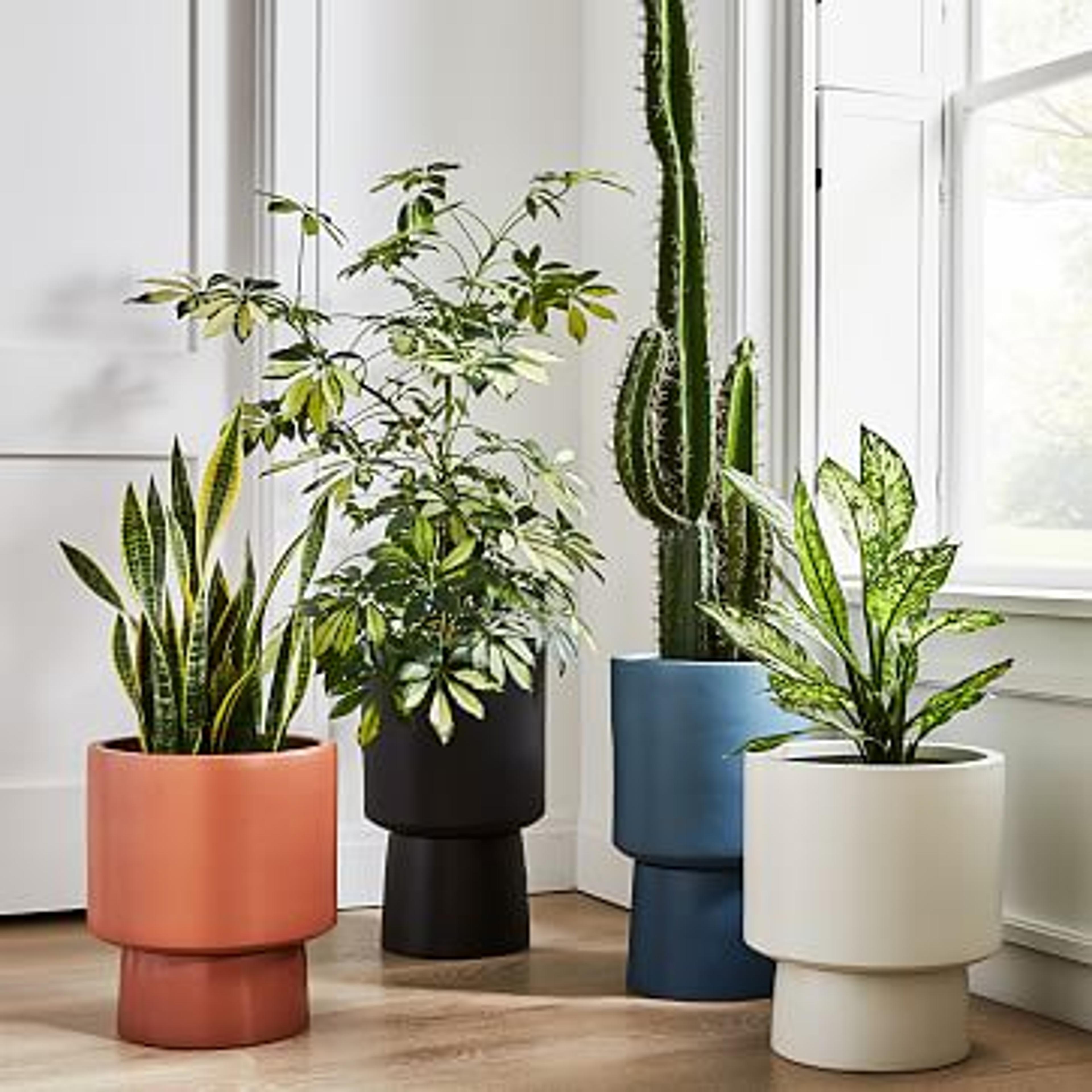 Bishop Indoor/Outdoor Pedestal Planters | West Elm