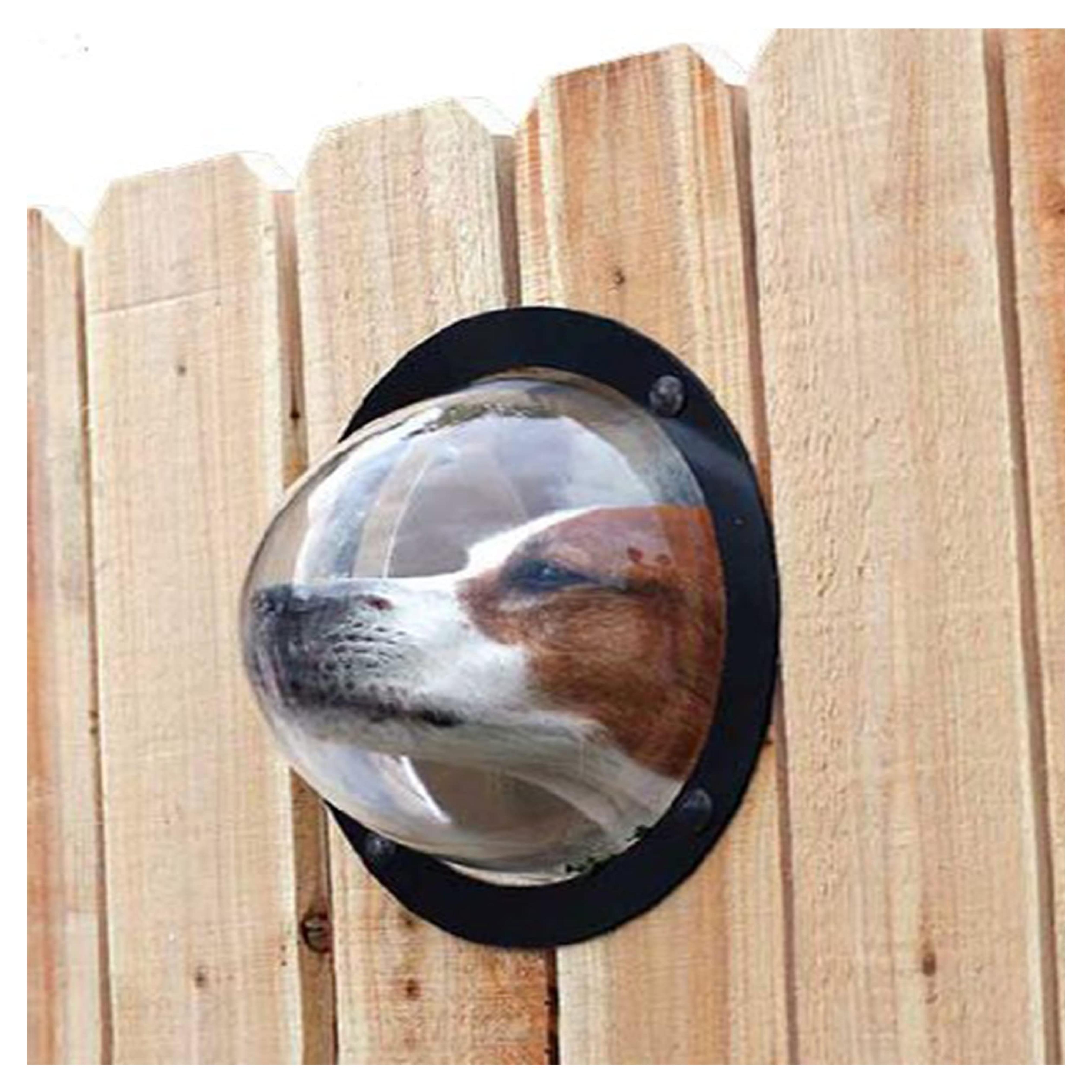 PetPeek Fence Window for Pets