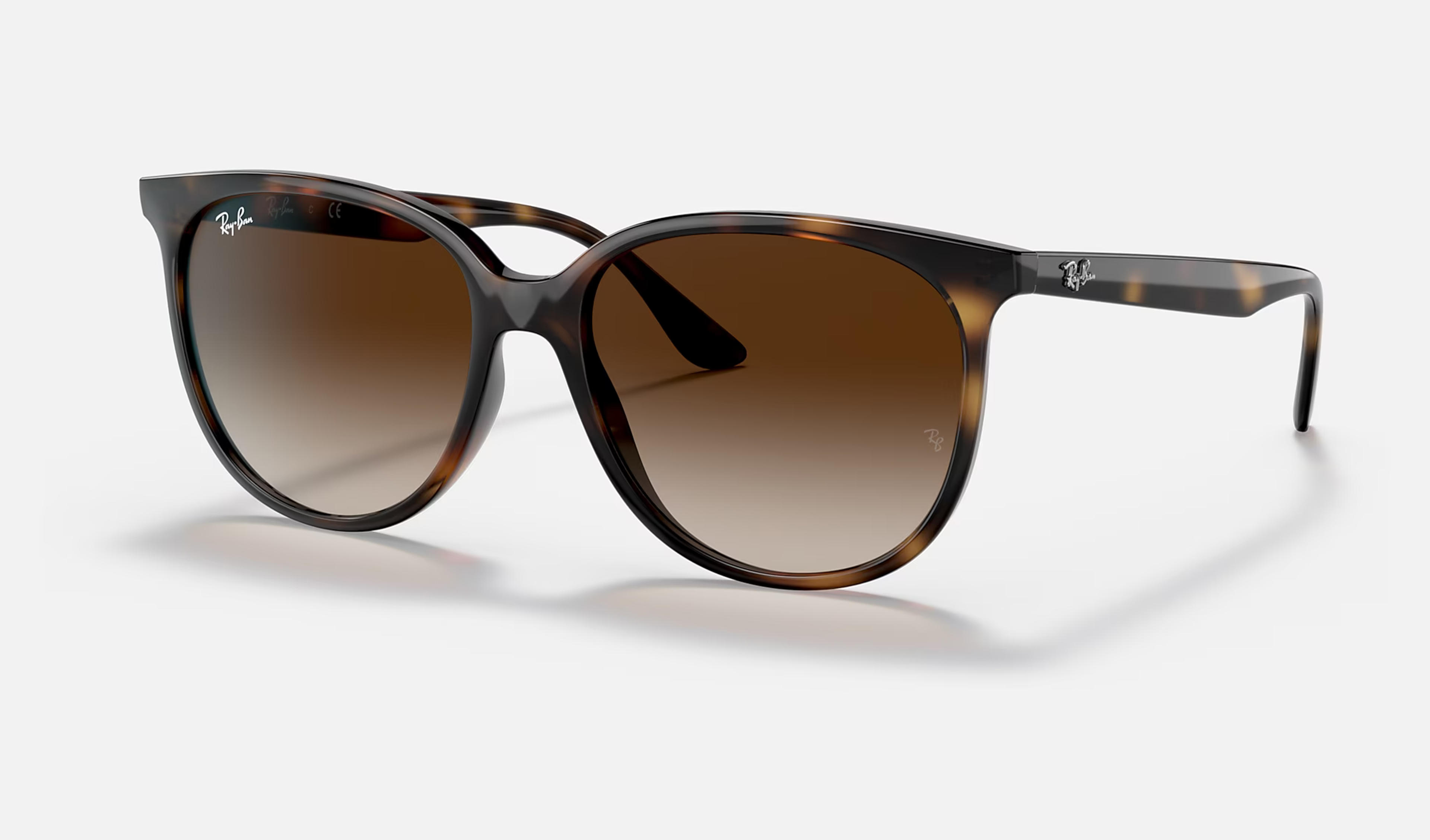 Rb4378 Sunglasses in Havana and Brown - RB4378 | Ray-Ban® US