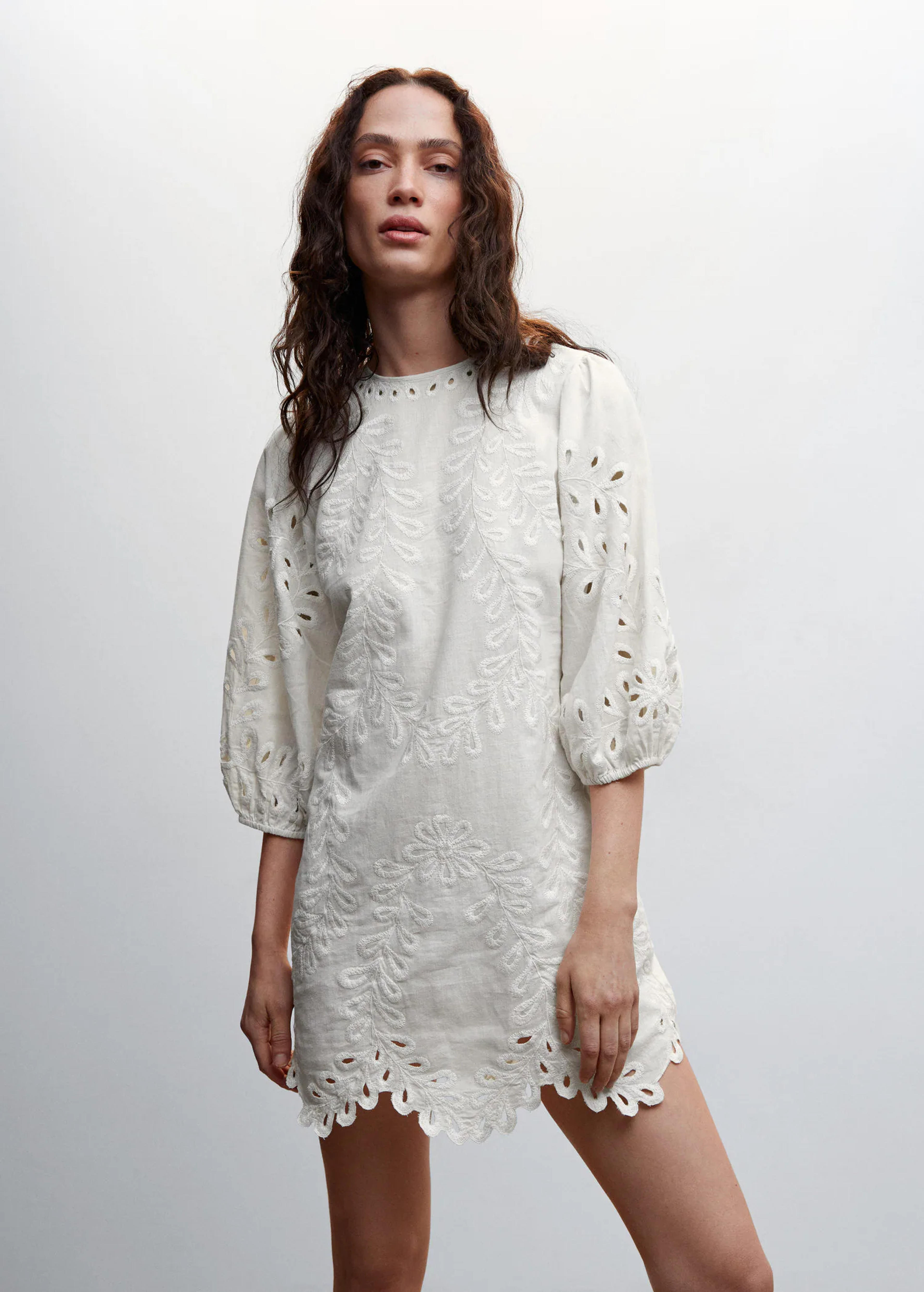 Puff sleeve embroidered dress