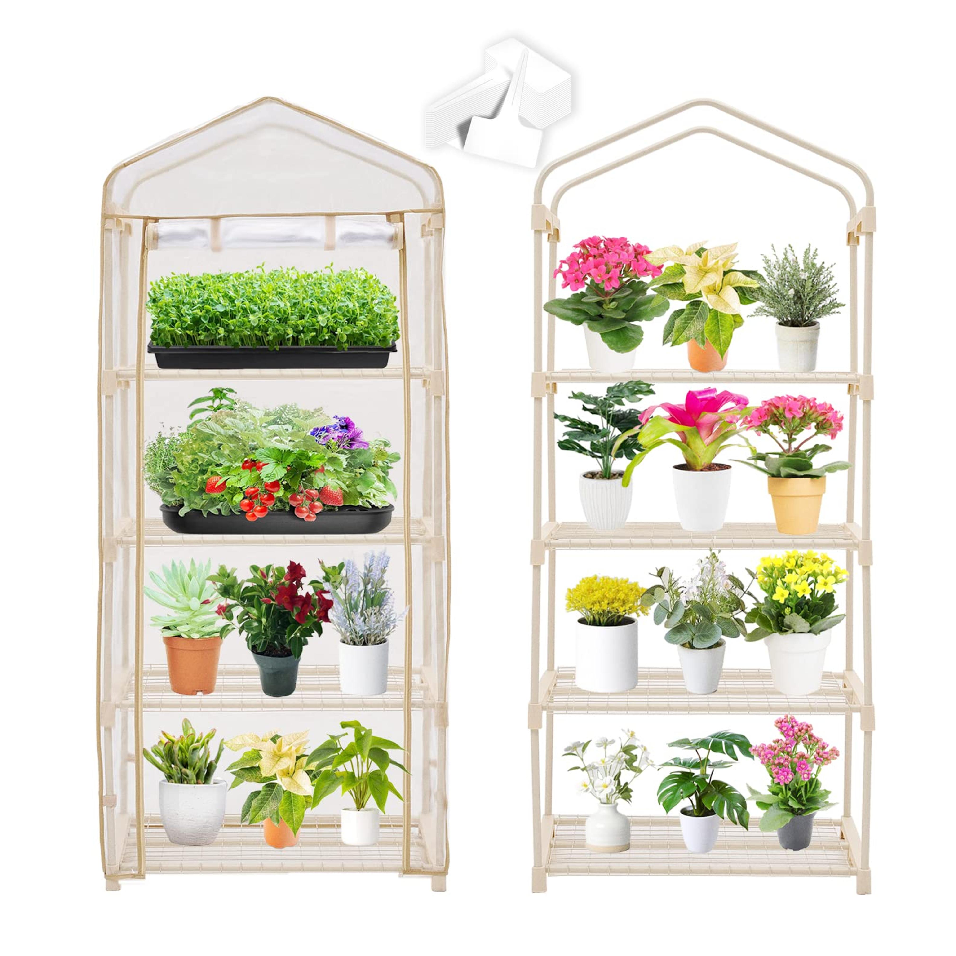 Purlyu Garden 4-Tier Greenhouse – Outdoor Gardening Hot House with Zippered Cover and Metal Shelves for Growing Vegetables, Flowers and Seedlings 20 Pcs T-Type Plant Tags Include (PLGH704OWP)…