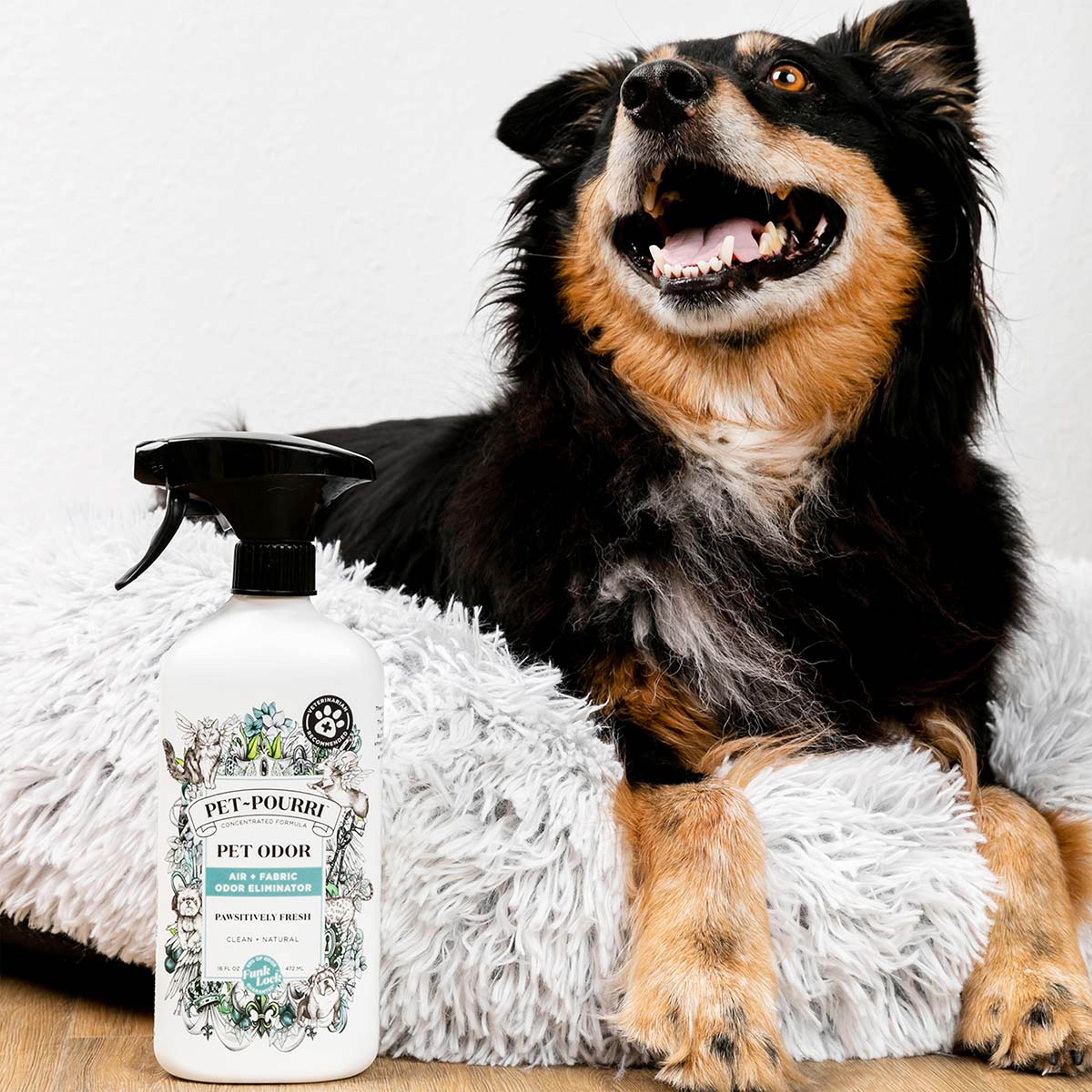 Pet~Pourri - Pawsitively Fresh – Poo~Pourri