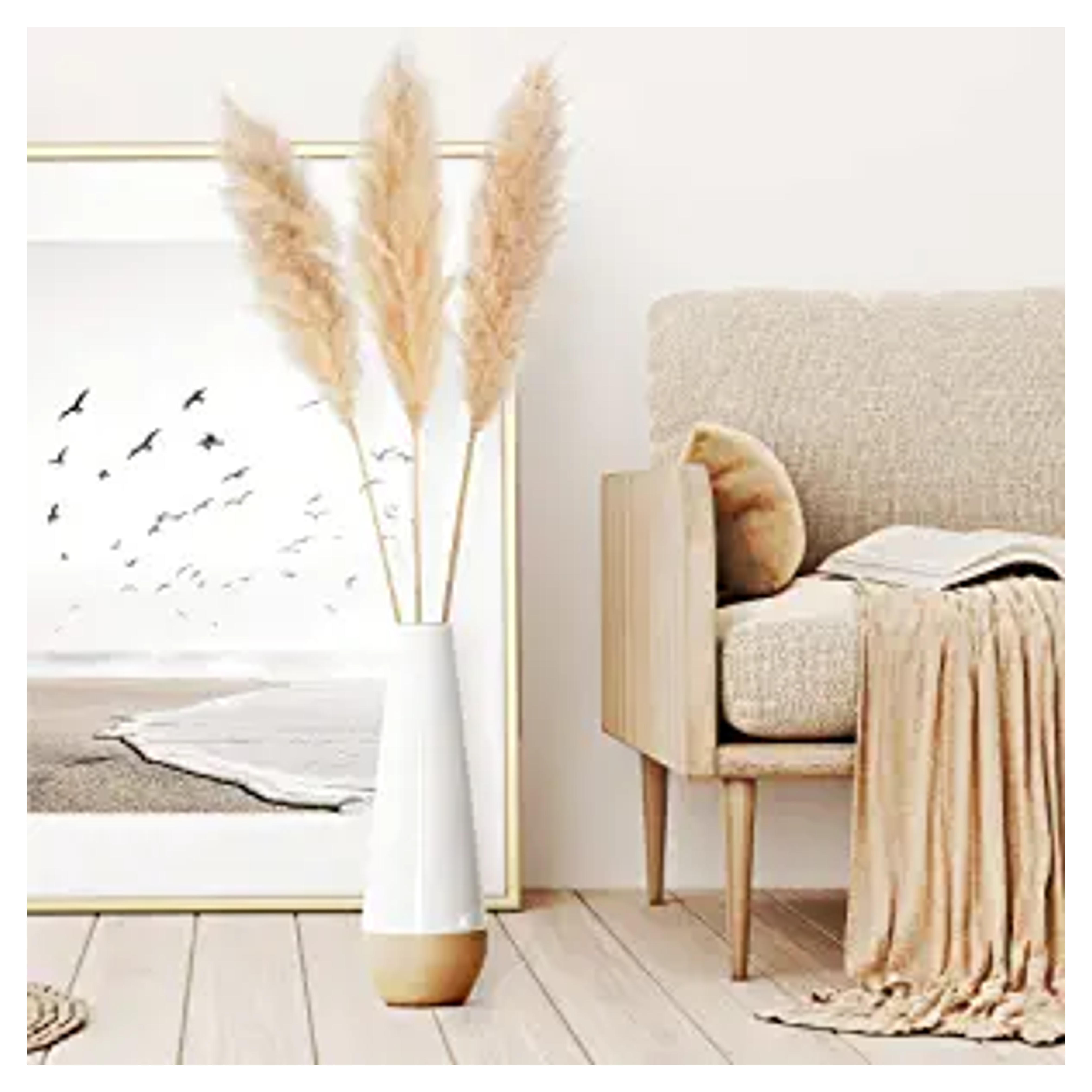 Amazon.com: Pampas Grass Plant, 47” Inches Tall - 3 Large Naturally Dried Beige Stems - Add to Your Boho Home Decor, Fluffy Office Flower Arrangements, Chic Living Room, Wedding Floor Vases, and Party Decorations : Home & Kitchen