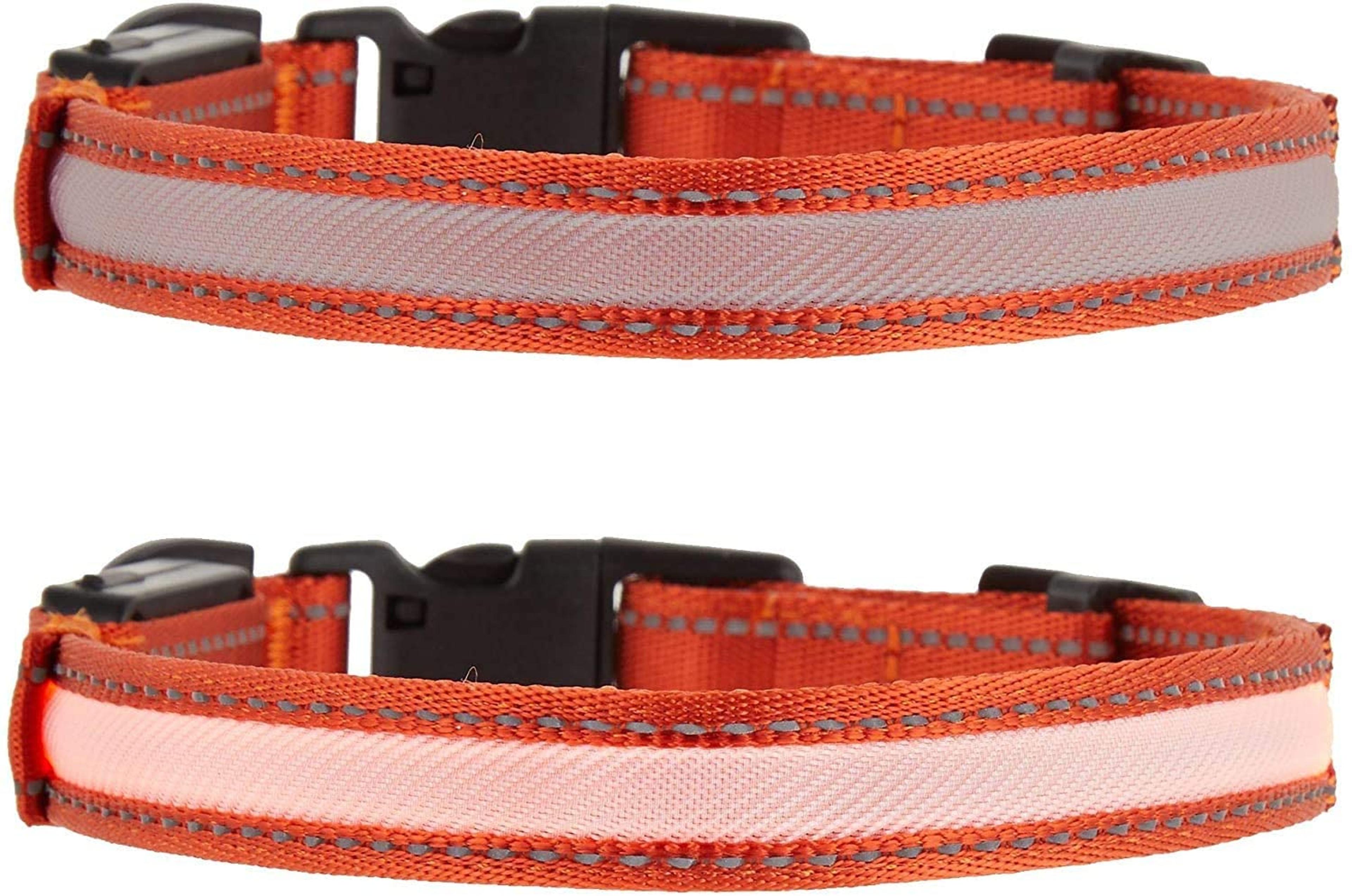 TOP PAW LED + Reflective Orange Dog Collar~Large~