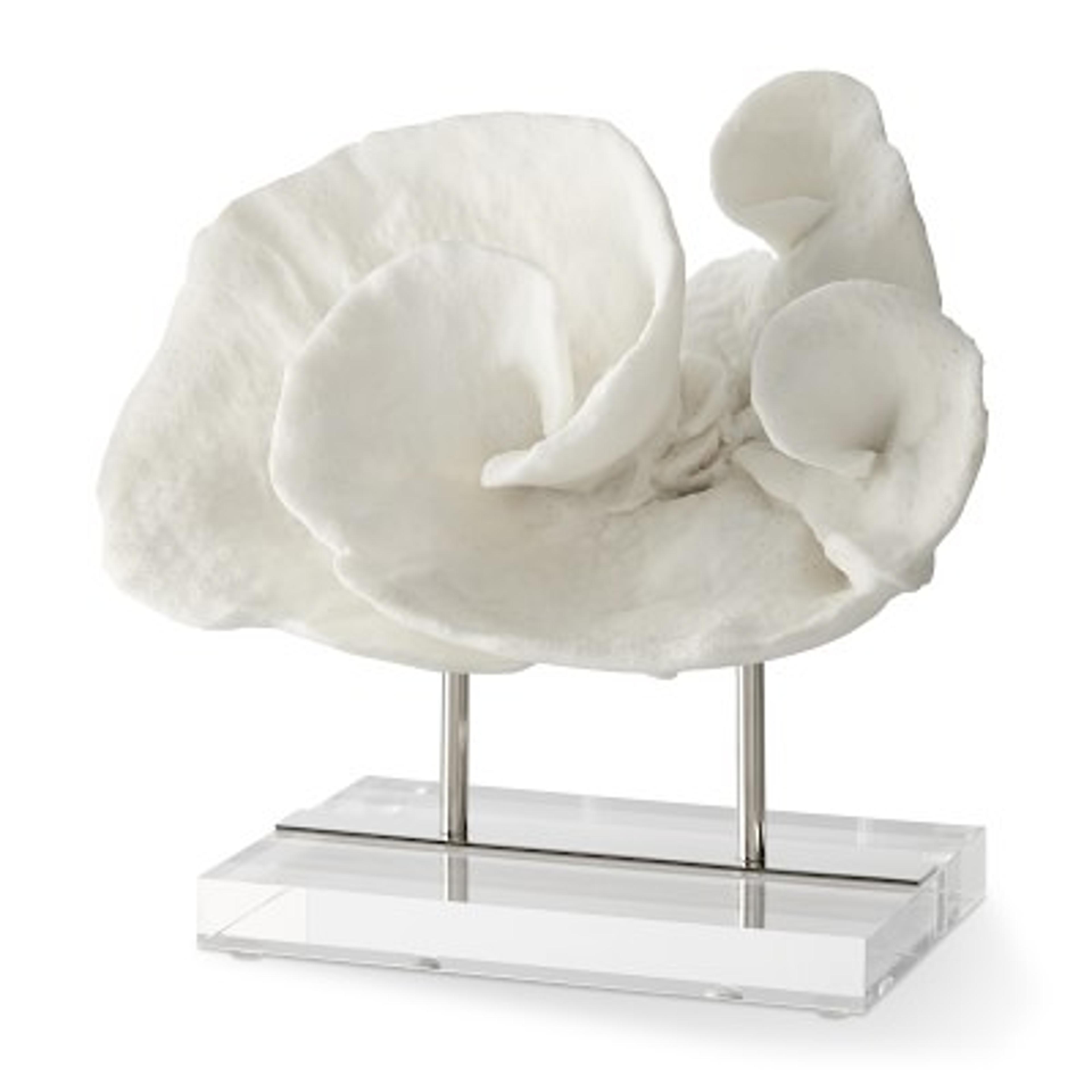 Sea Life Object On Stand - Coral | Decorative Object | Williams Sonoma