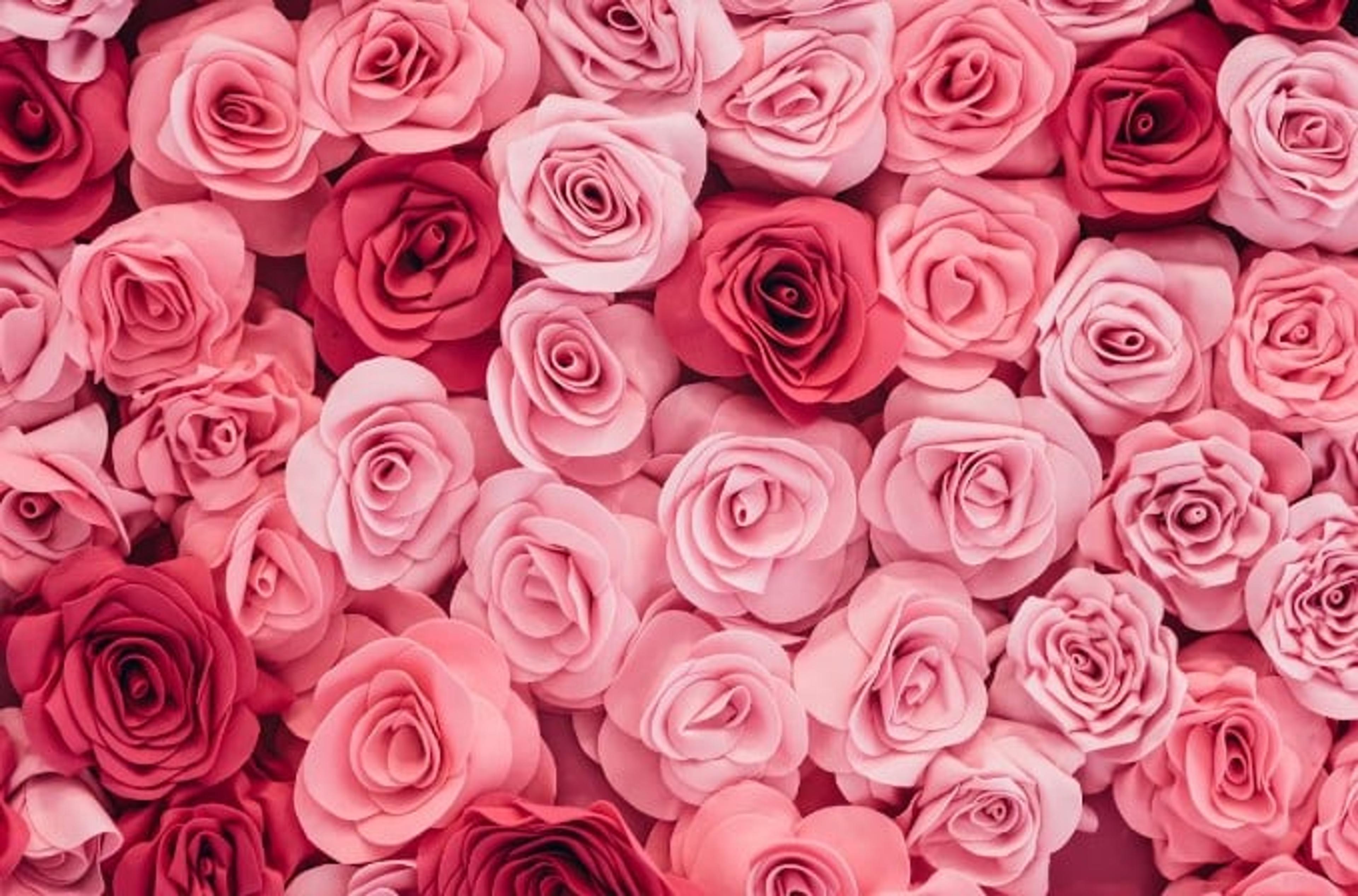 Rose Wallpaper - Flower Wall Decor for Rooms | Giffywalls