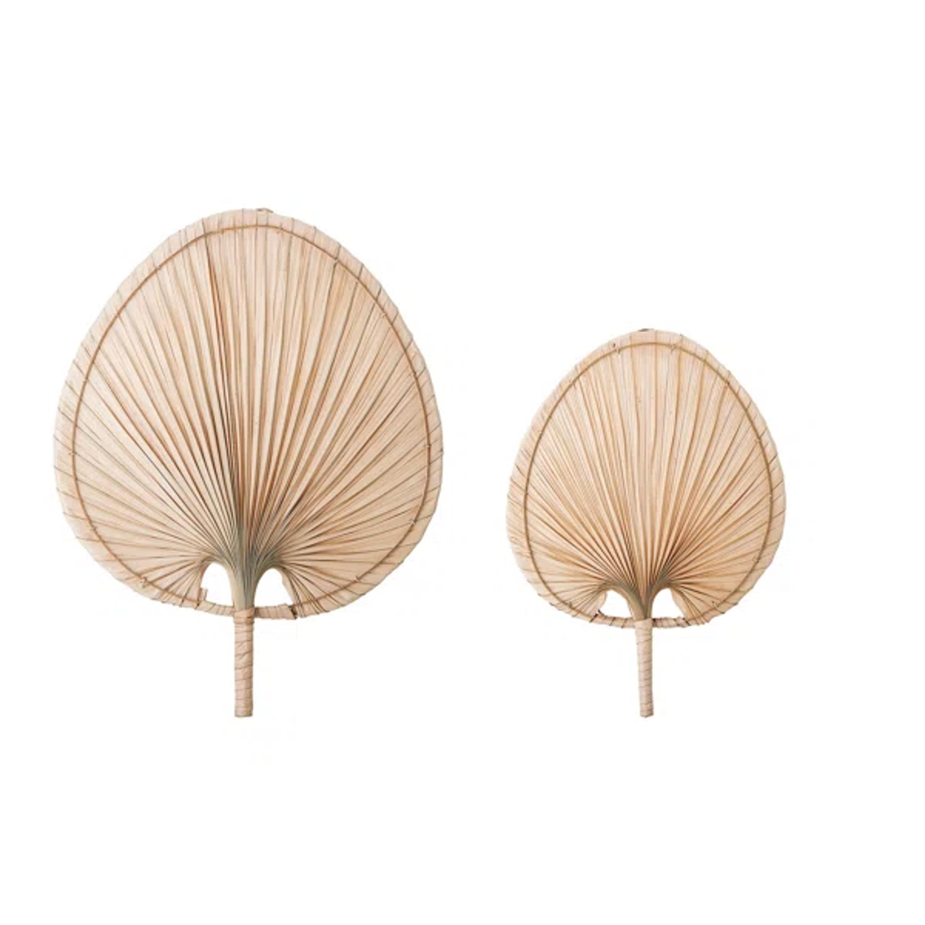 Larkson 2 Piece Natural Palm Leaf Fans Wall Décor Set & Reviews | Joss & Main