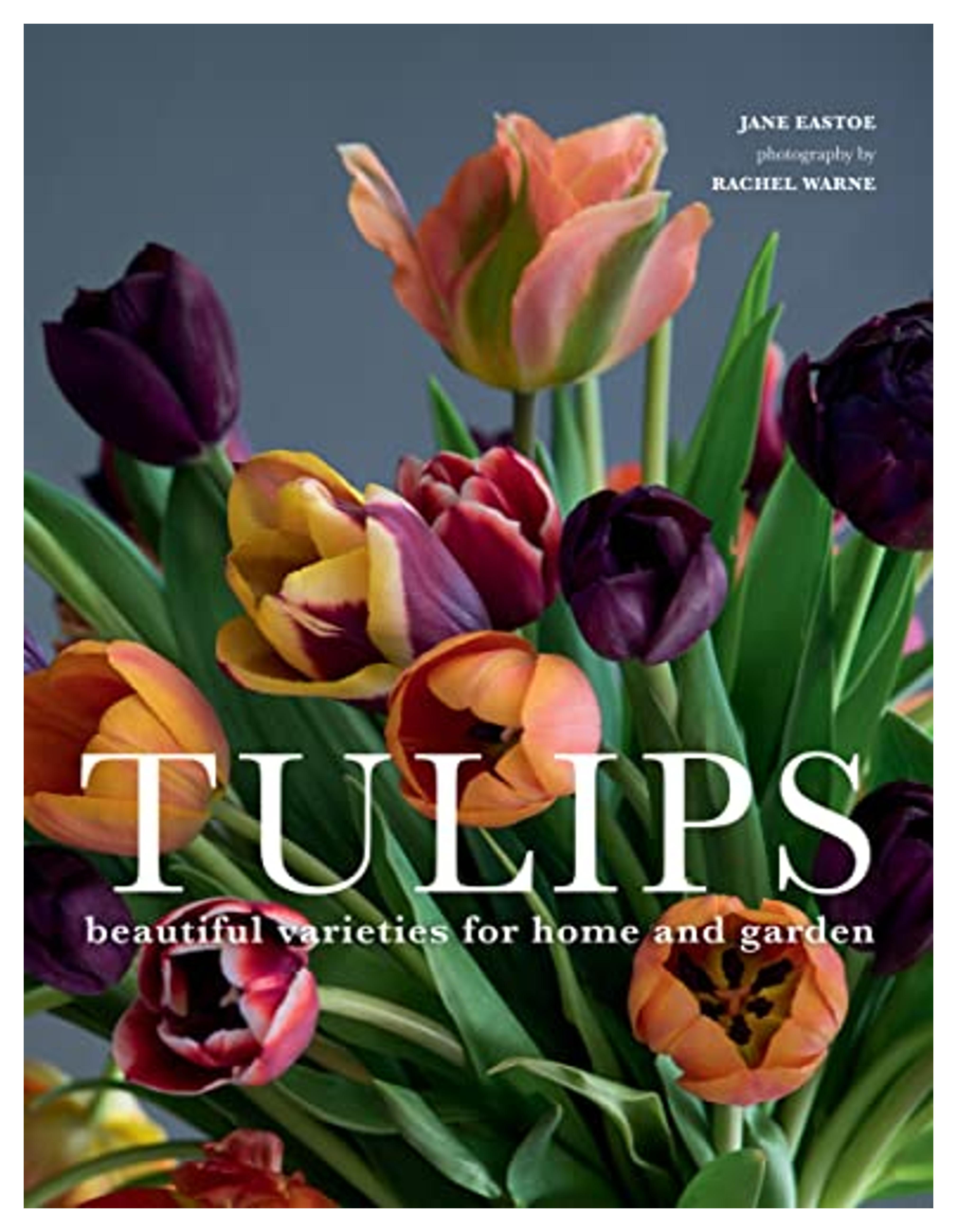 Tulips: Beautiful Varieties for Home and Garden: Eastoe, Jane, Warne, Rachel: 9781423651291: Amazon.com: Books