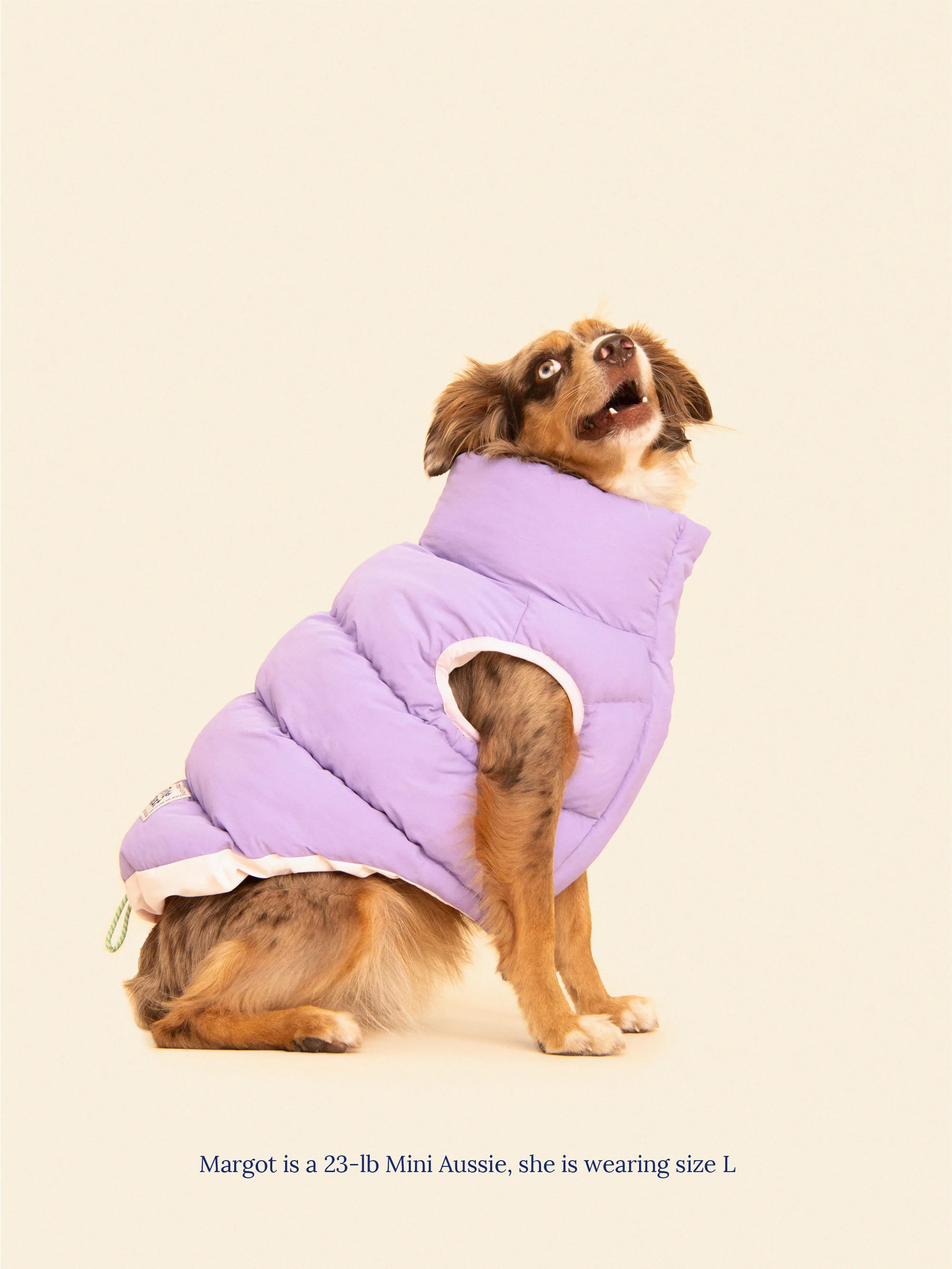 The Super Duper Reversible Parka Vest - Purple & Pink | Dog Parka