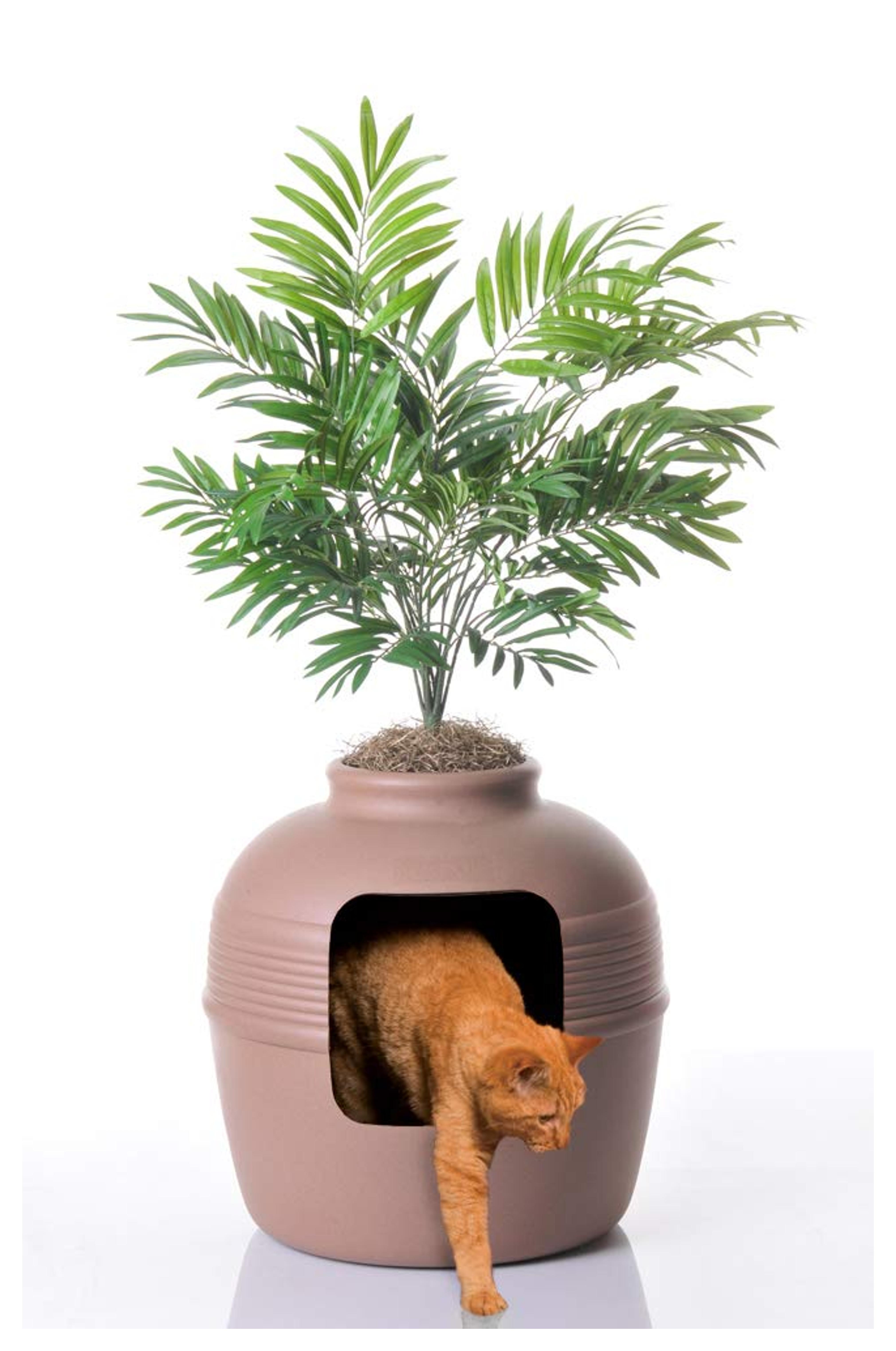 Amazon.com : Good Pet Stuff Hidden Litter Litter Box : Litter Box Furniture : Pet Supplies