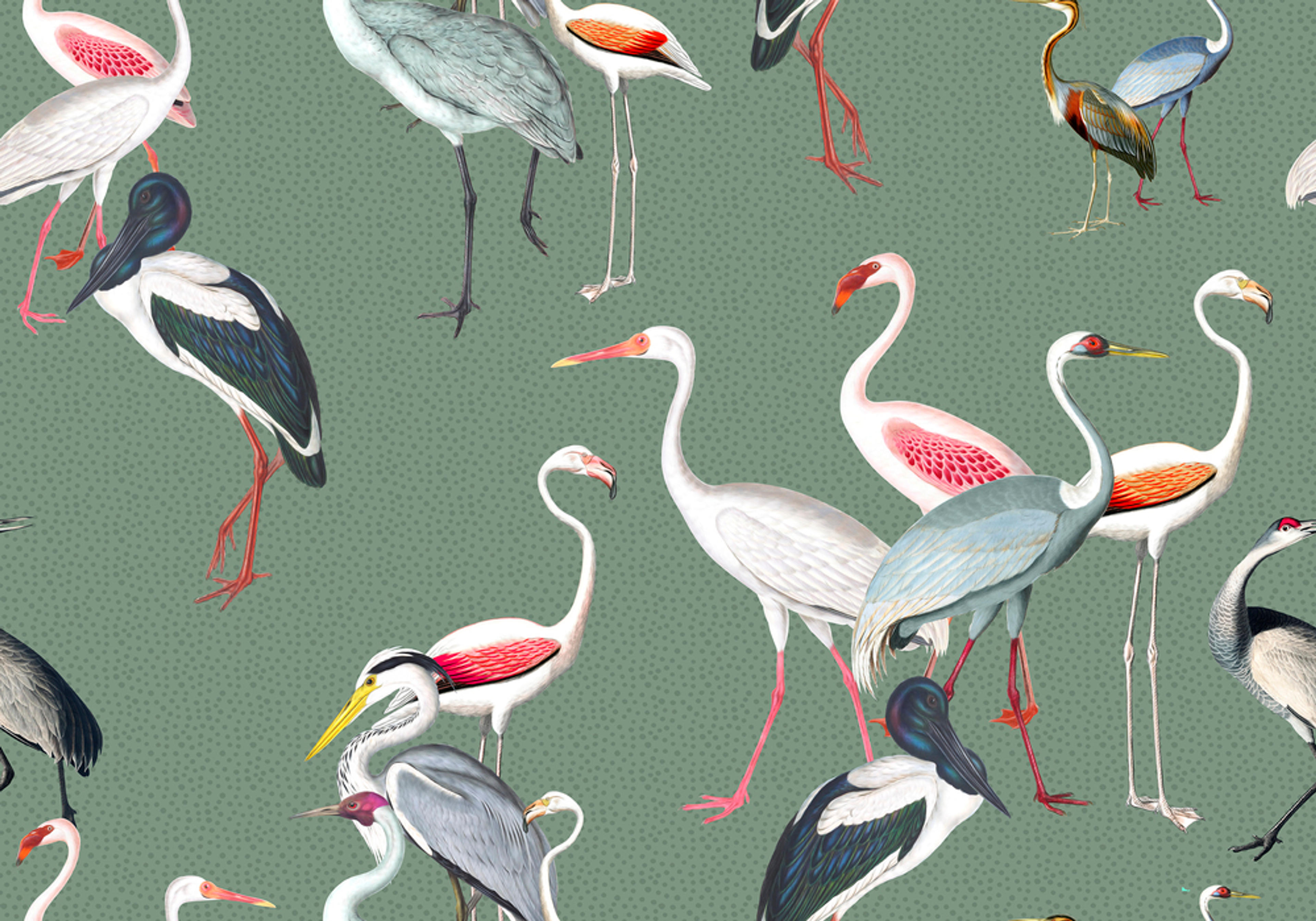 Long Necked Birds Harmony Green - Papier peint magnifique - Photowall