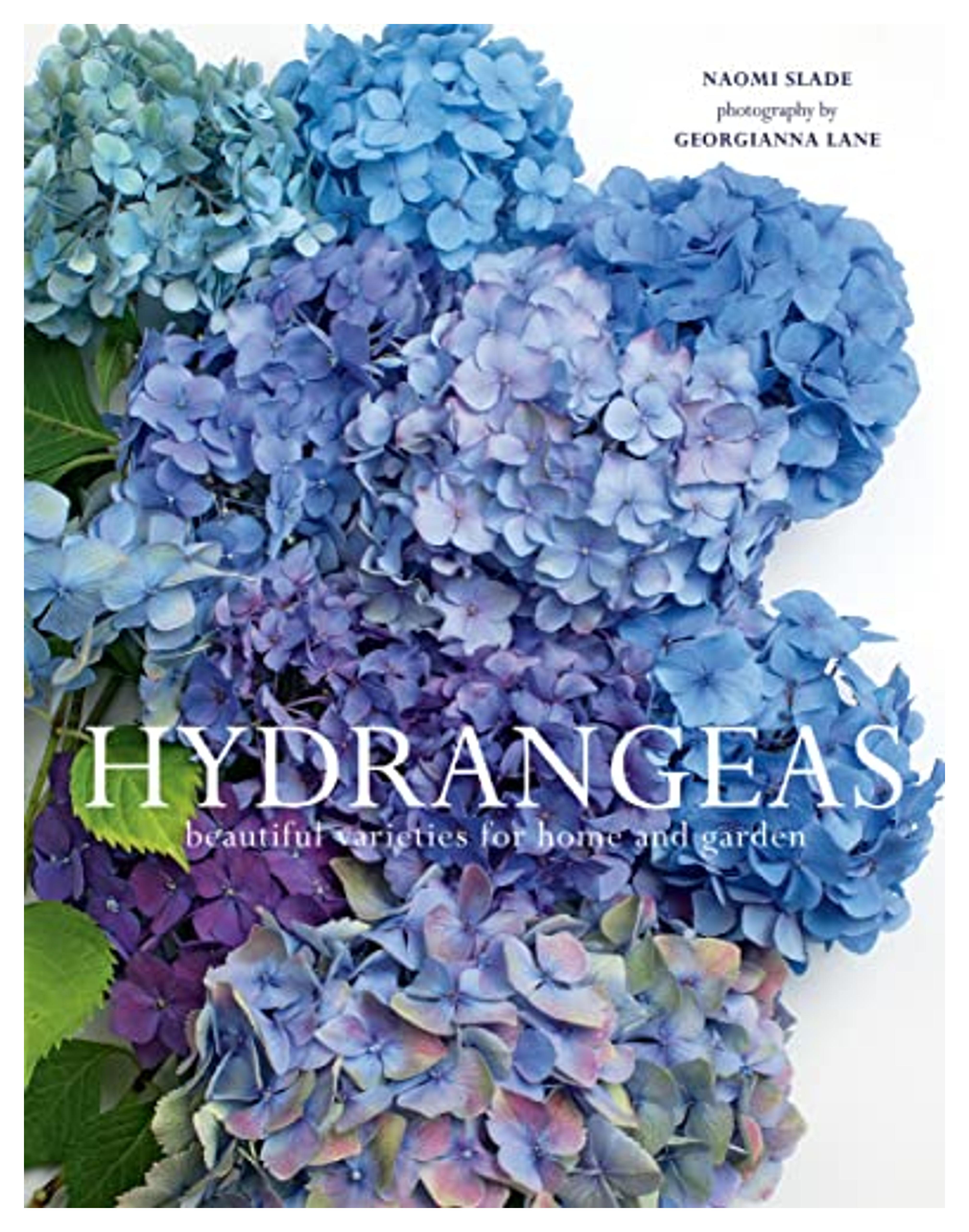 Hydrangeas: Beautiful Varieties for Home and Garden: Slade, Naomi, Lane, Georgianna: 9781423654025: Amazon.com: Books