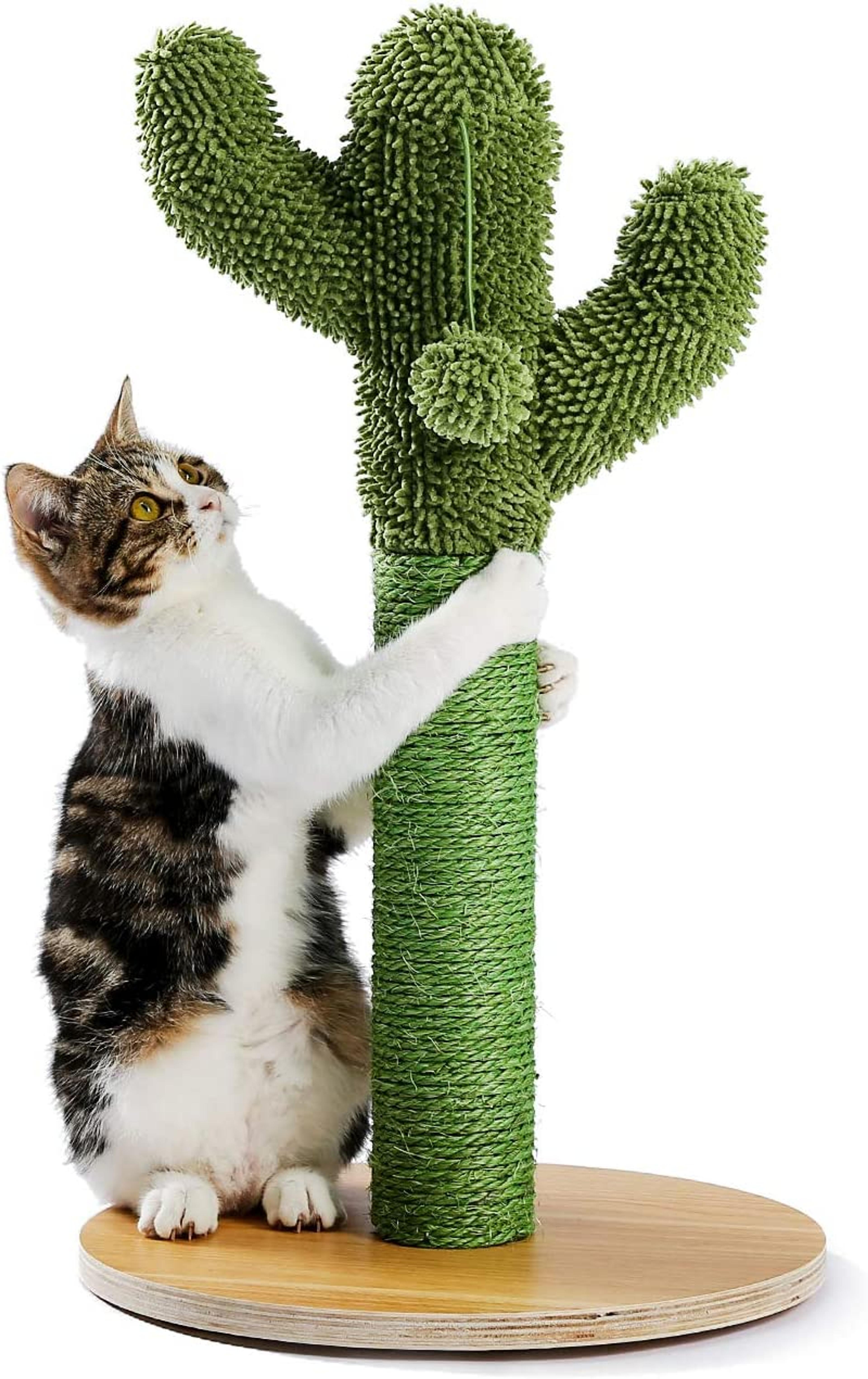 Made4Pets Cat Scratching Post, Cactus Cat Scratcher Kitten Scratching Post with Natural Sisal Rope for Indoor Cats Claw Scratcher, Vertical Green Cat Tree with Dangling Balls for Small Cats Kittens