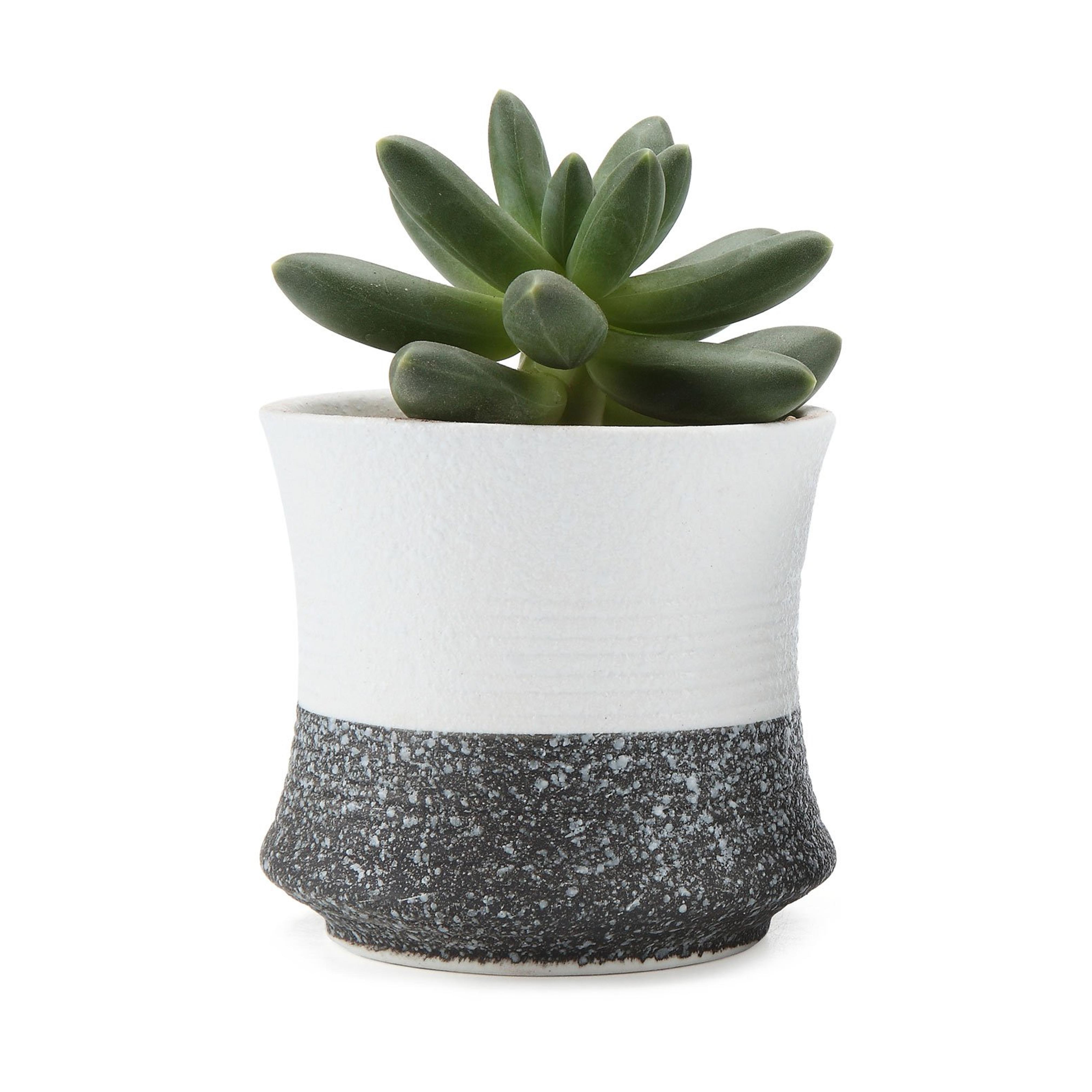 T4U 3.25 Inch Ceramic Korae Style Snow Serial No.3 Succulent Planter