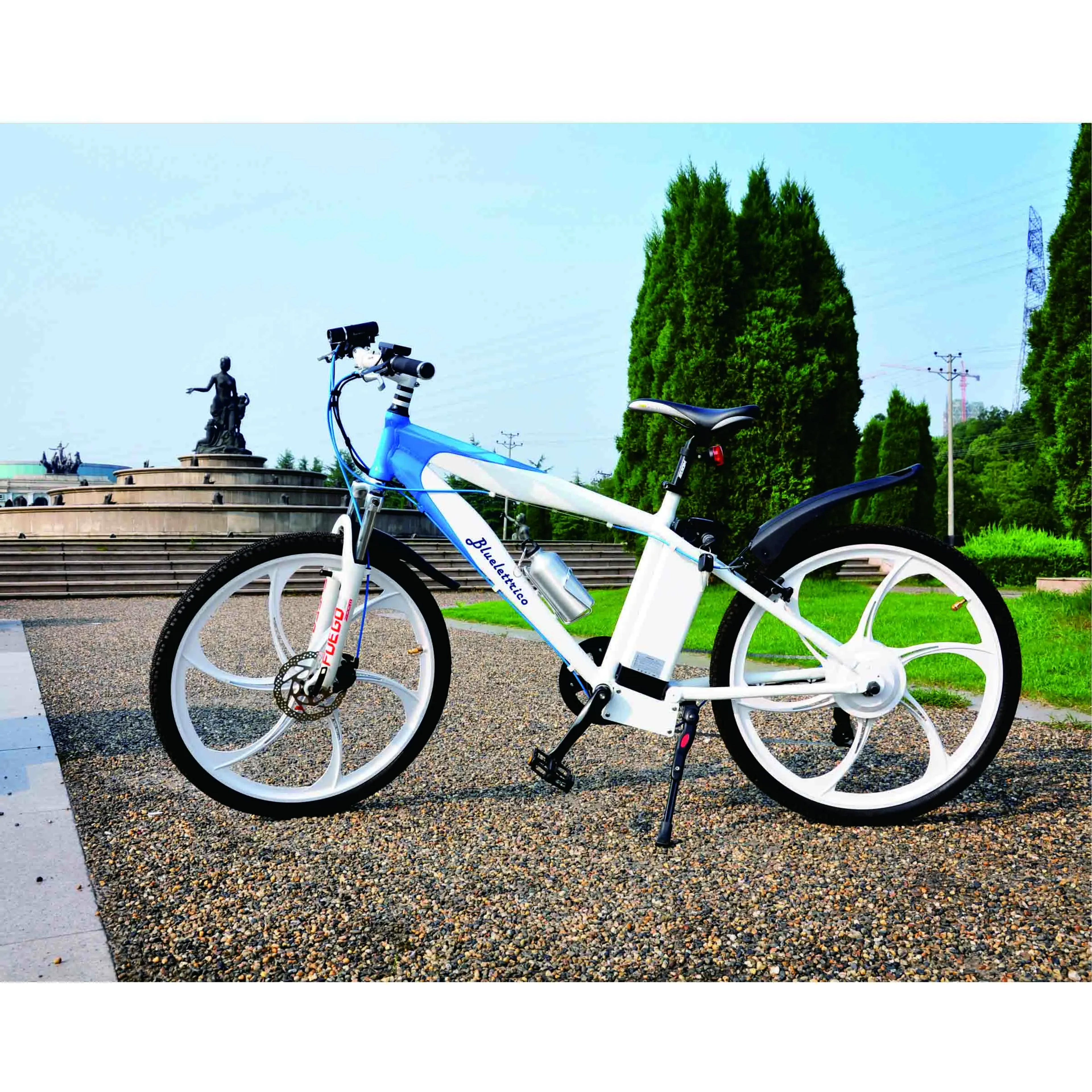 Magnesium alloy motor wheel mountain electric bike