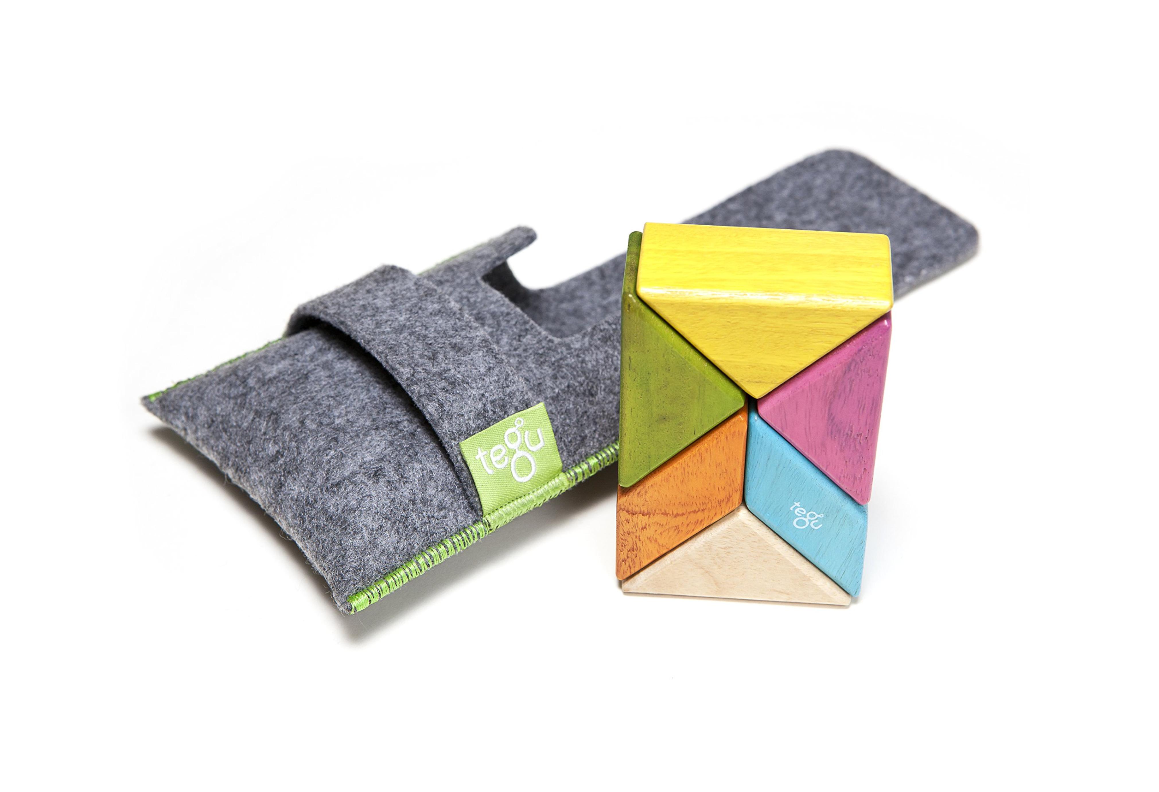 Tegu Tints Pocket Pouch Prism, 6 Pieces w/ Felt Pouch