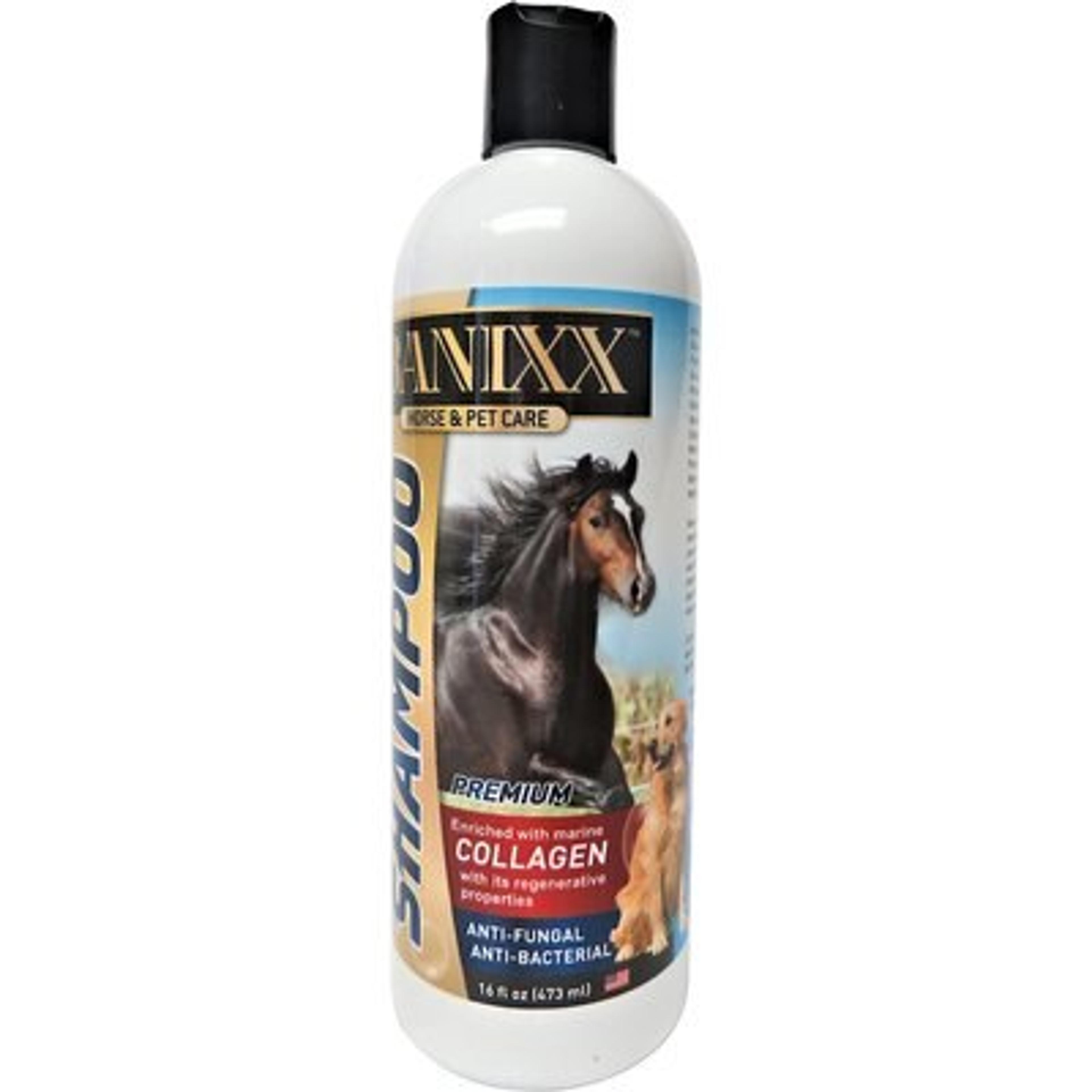 Banixx Medicated Soap-Free Horse Shampoo, 16-oz bottle