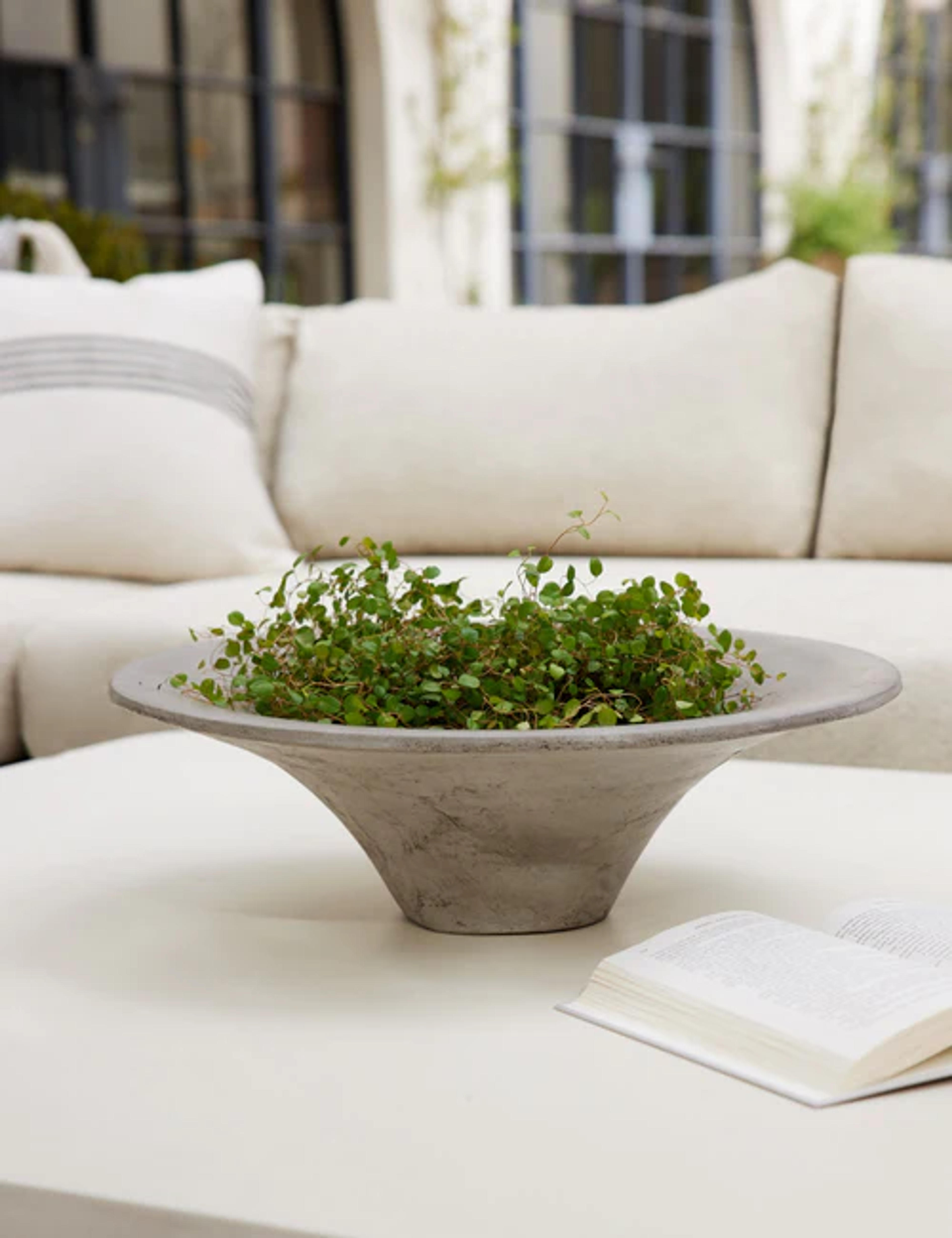 Lital Indoor / Outdoor Concrete Centerpiece Bowl