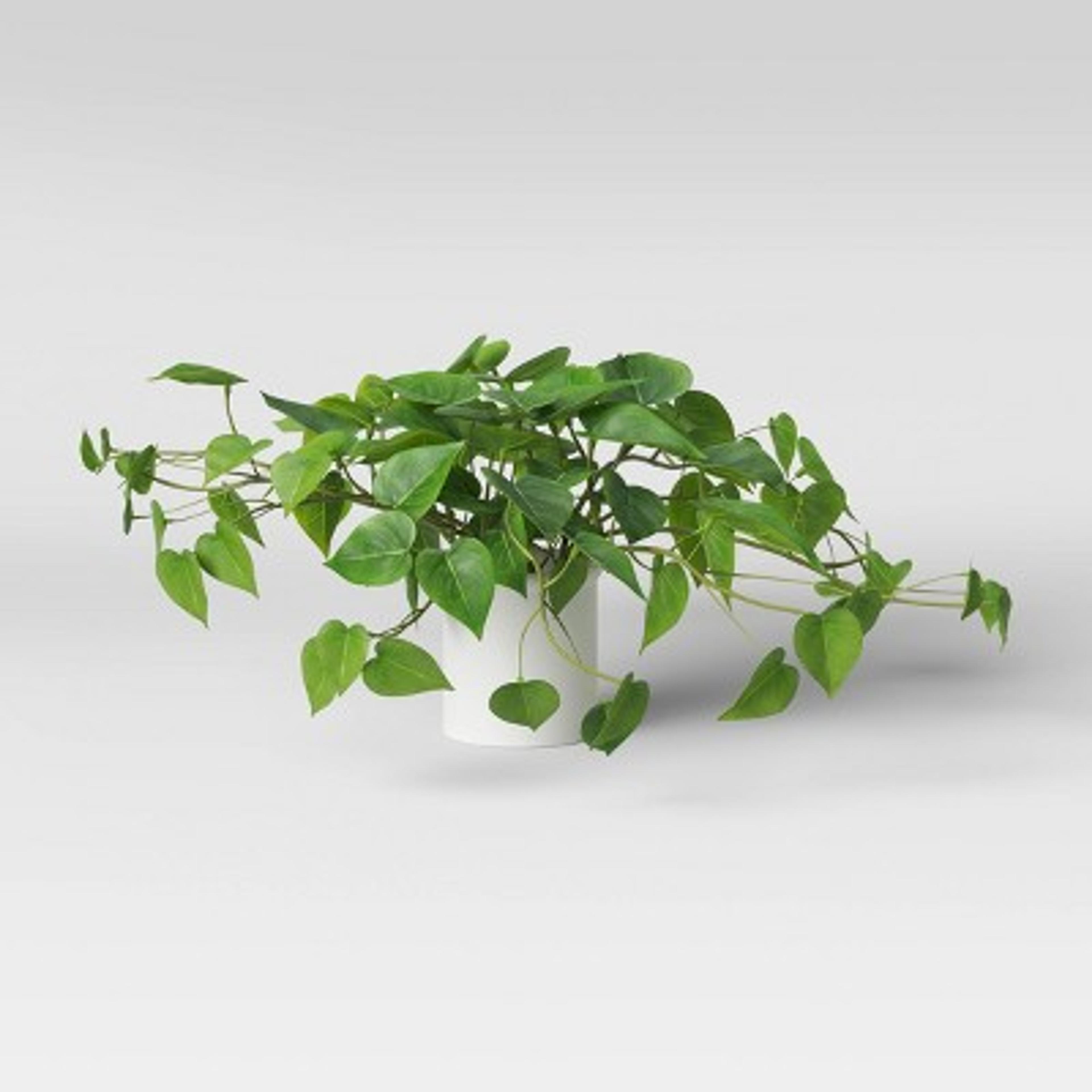 14" X 28" Artificial Pothos Plant In Pot - Threshold™ : Target