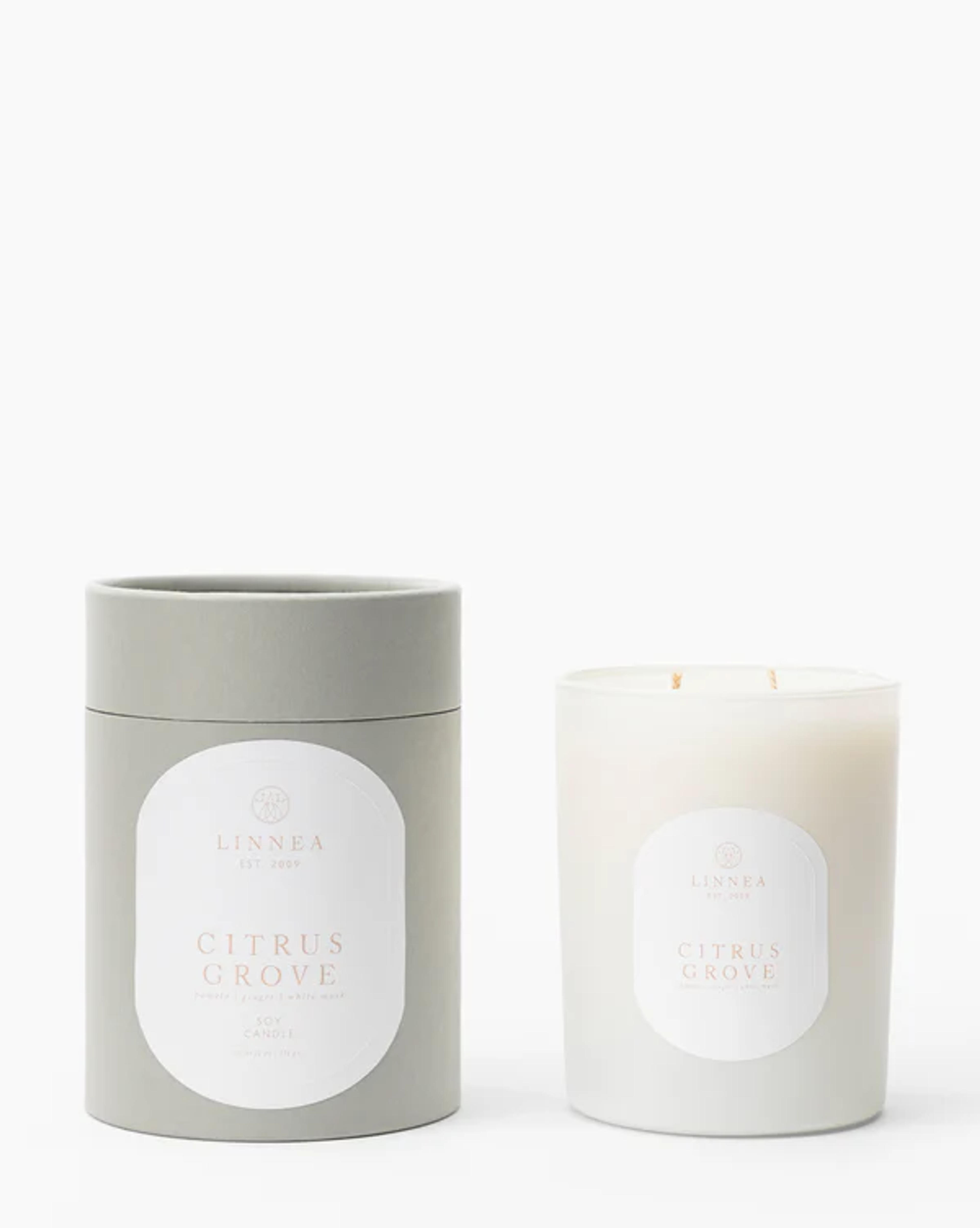 Citrus Grove 2-Wick Candle – McGee & Co.