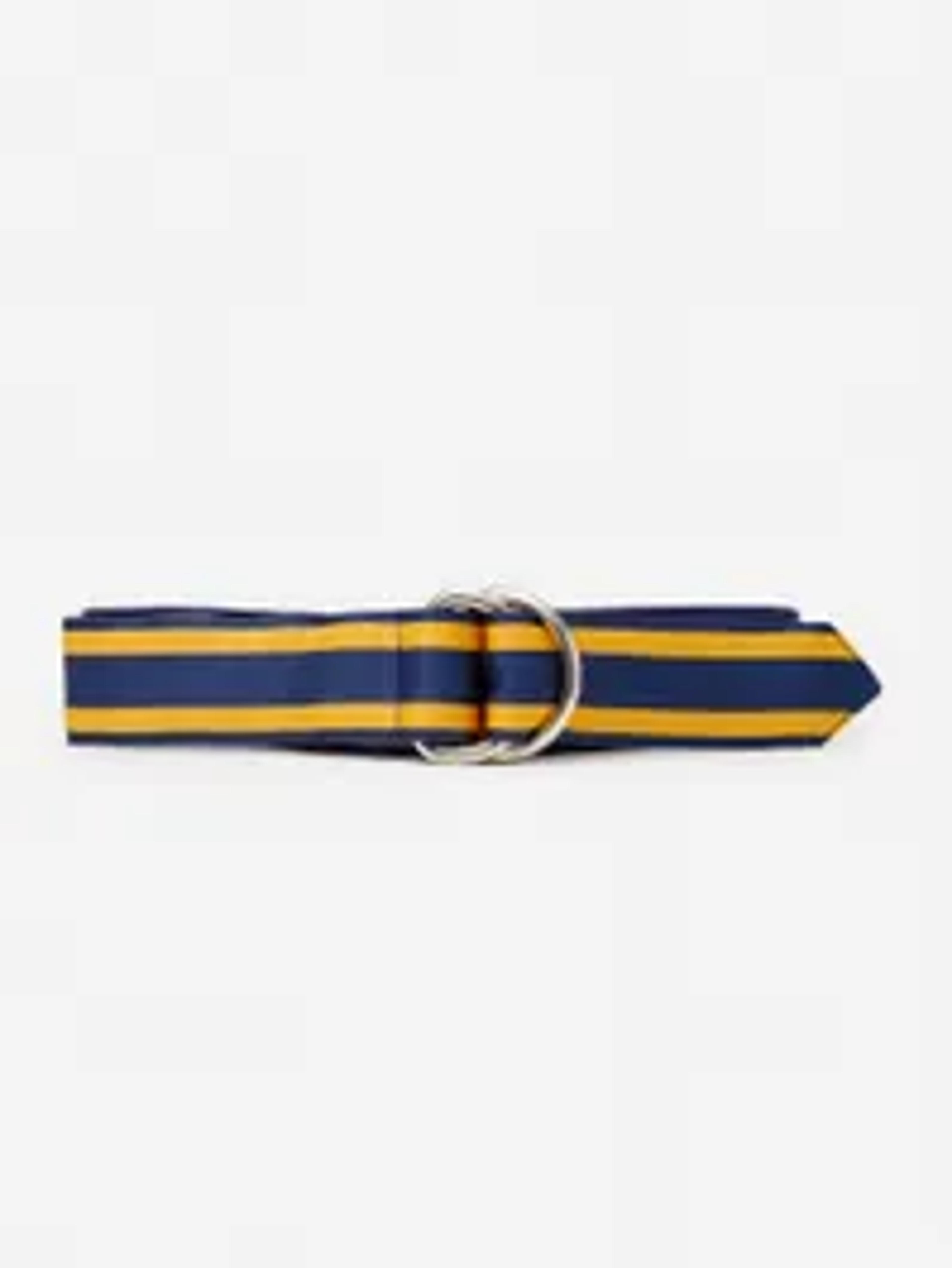 Ribbon Belt in Stripe