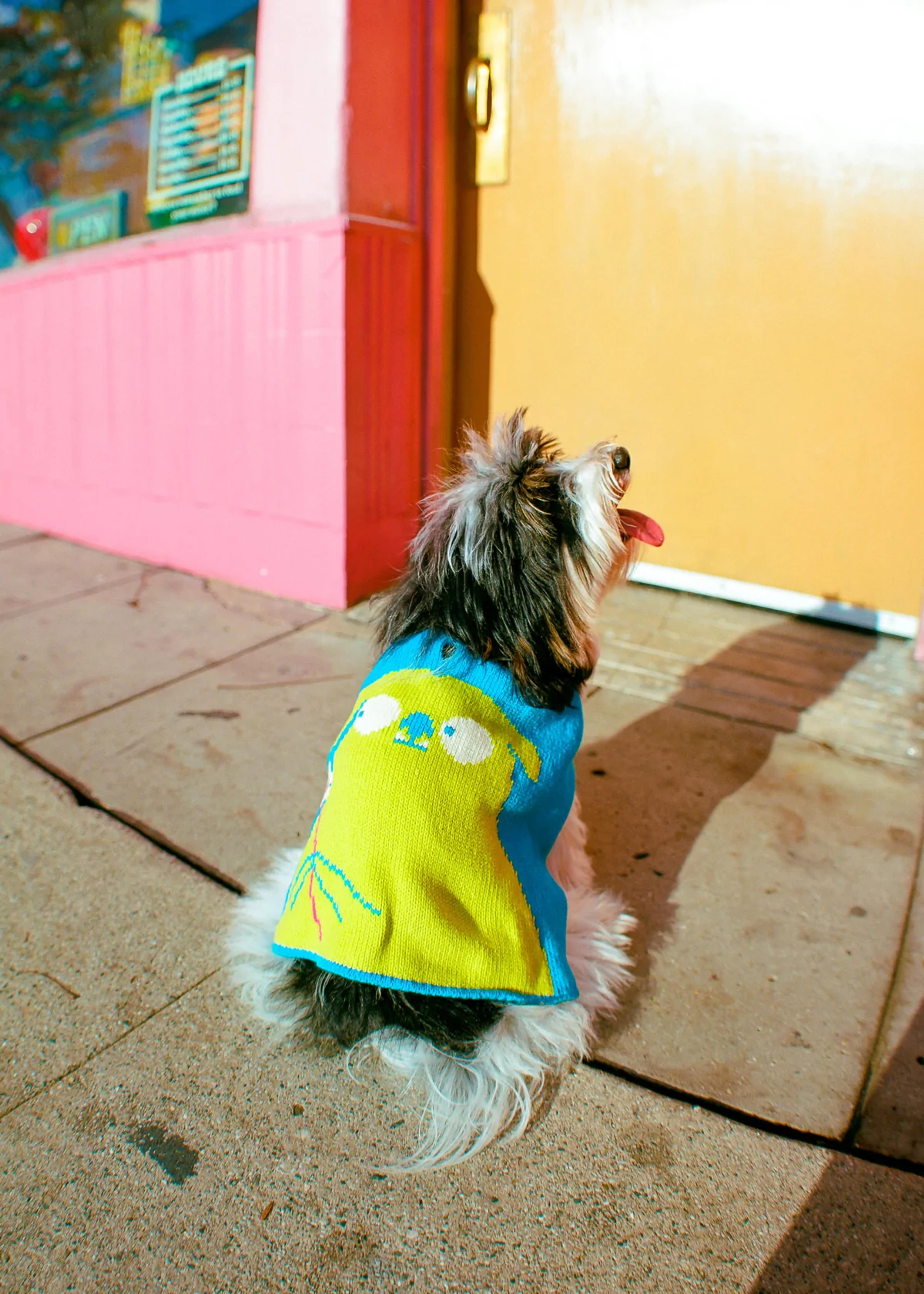 alien dog sweater with the endery