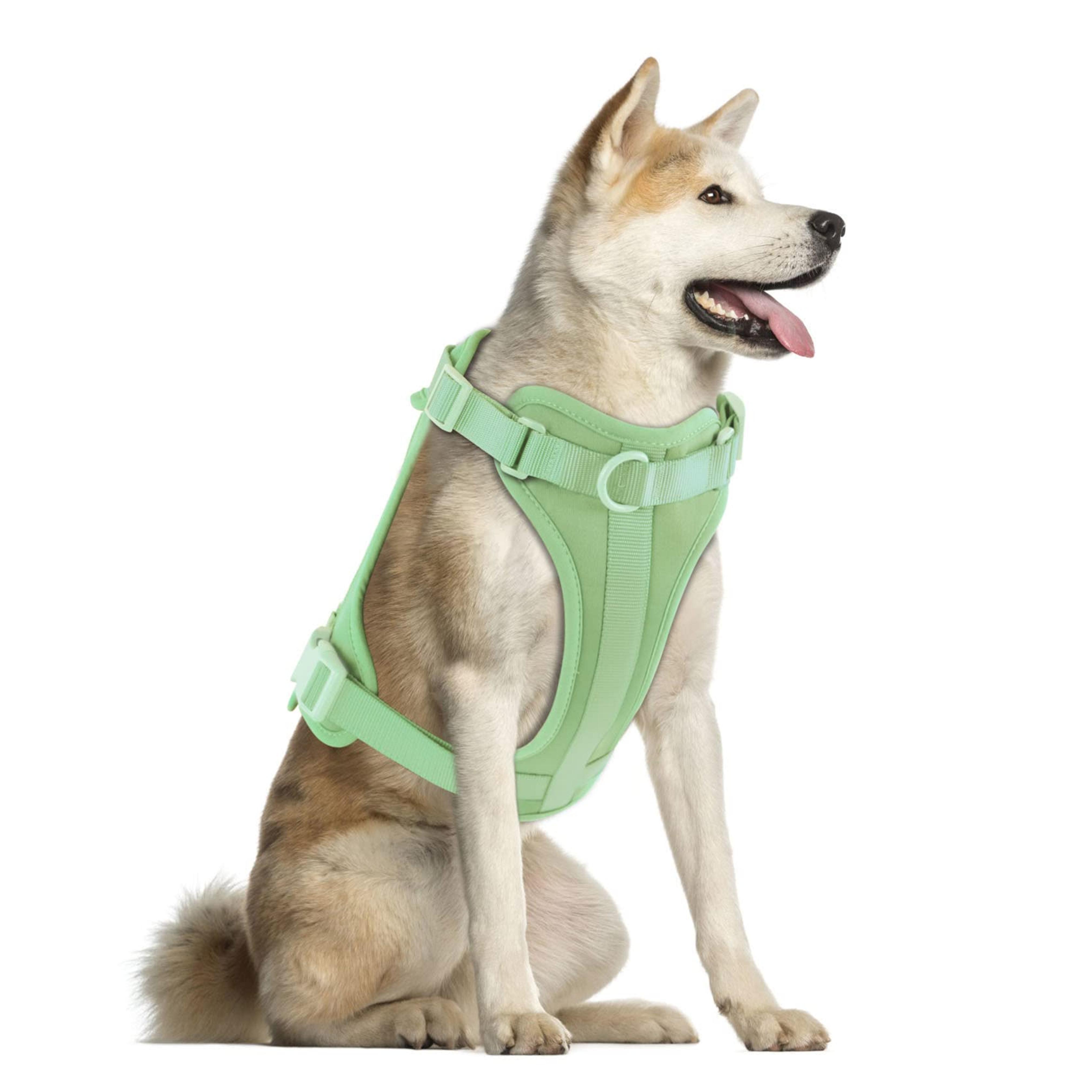 Wisedog No Pull Lightweight Dog Vest Harness with Soft and Comfortable Cushion, Breathable Mesh, for Small Medium Large Dogs Walking (L(Neck: 16.15"-20.86";Chest: 24.02"-38.19"), Mint Green)