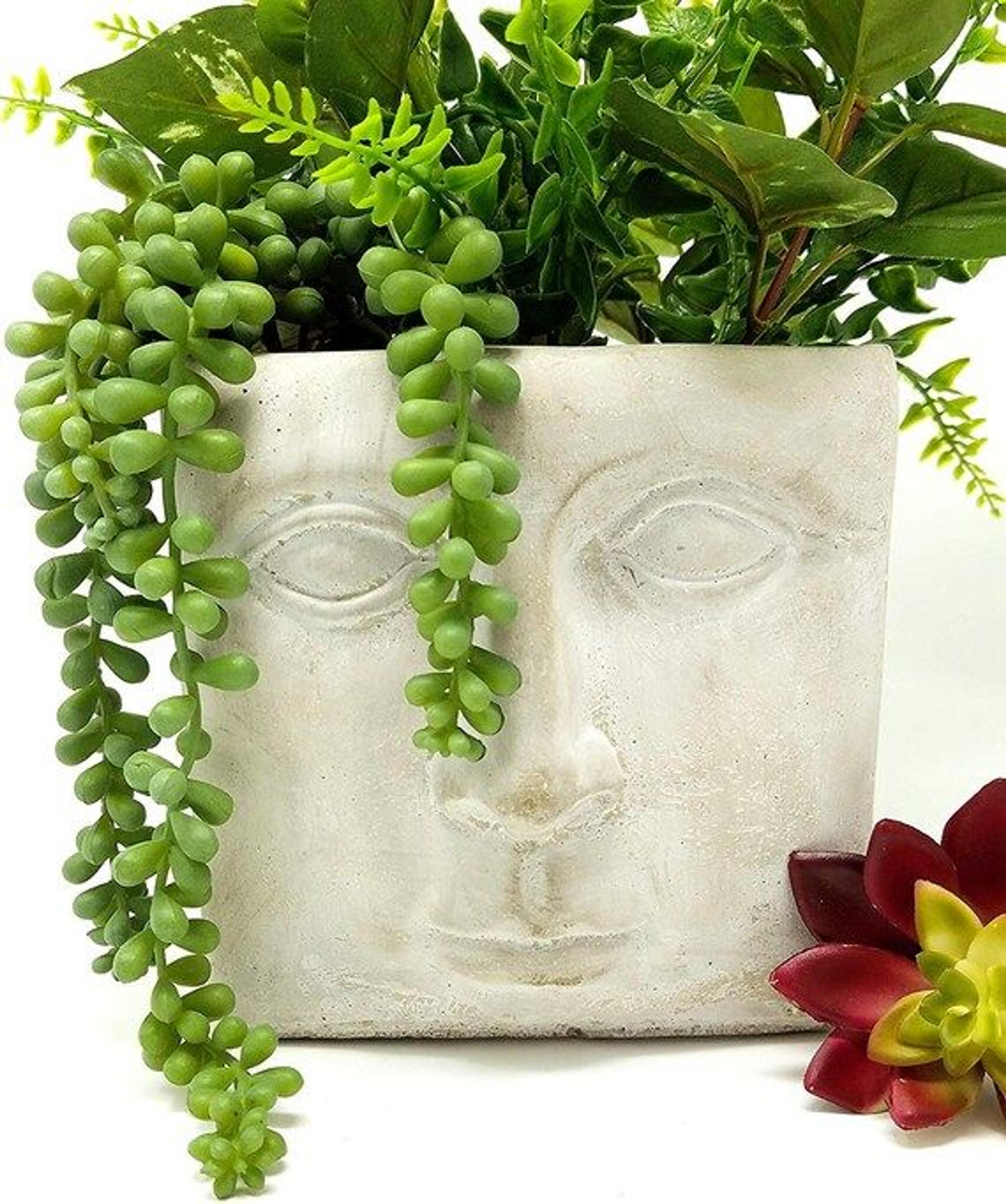 Planter Face Shaped Square flower pot for succulents or favorite house plant