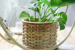 Hand-Woven Bamboo Hanging Planter Basket – bloomlyn
