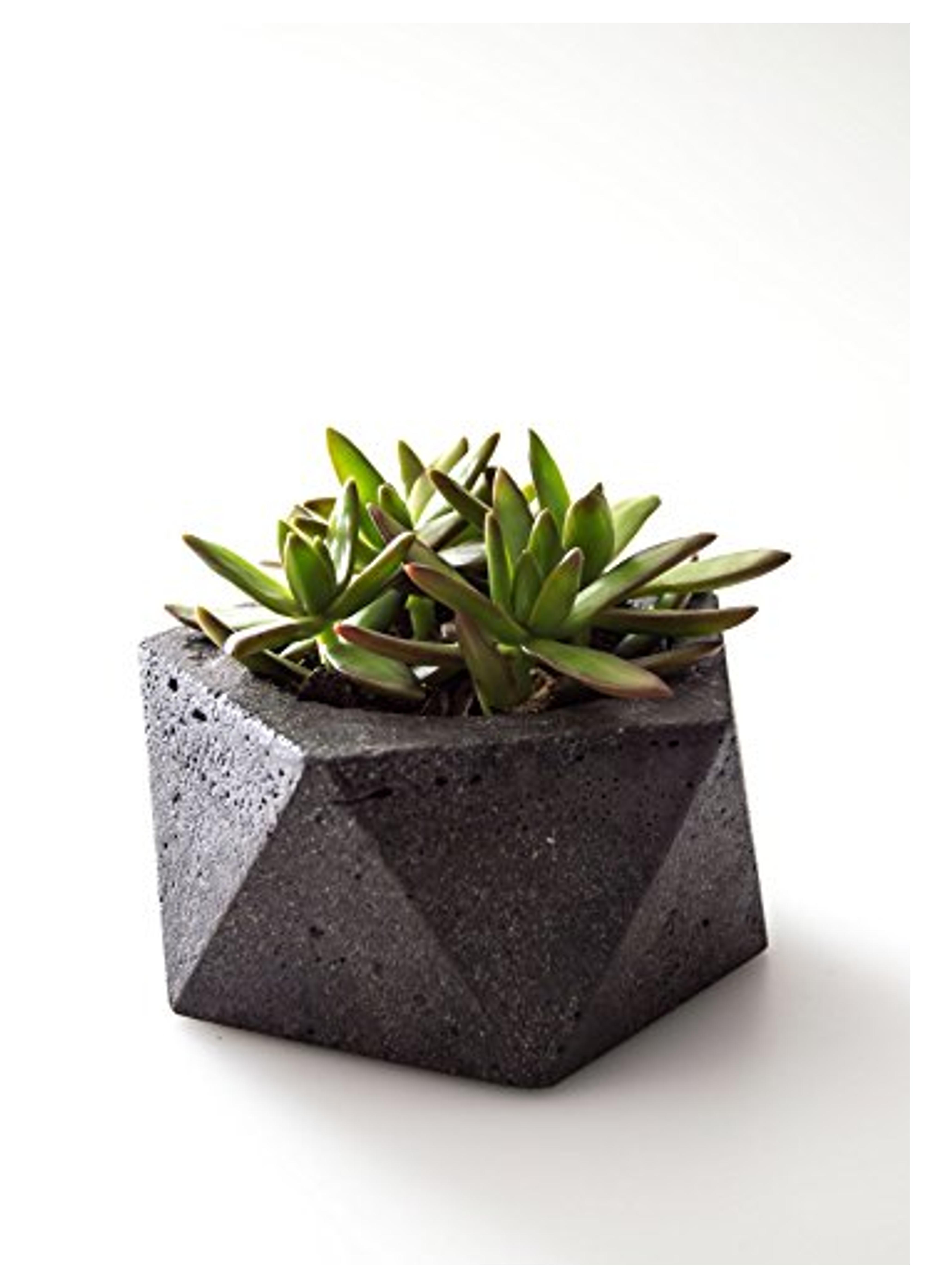 Hand Poured Geometric Concrete Dish Bowl | Industrial Icosahedron Concrete Planter