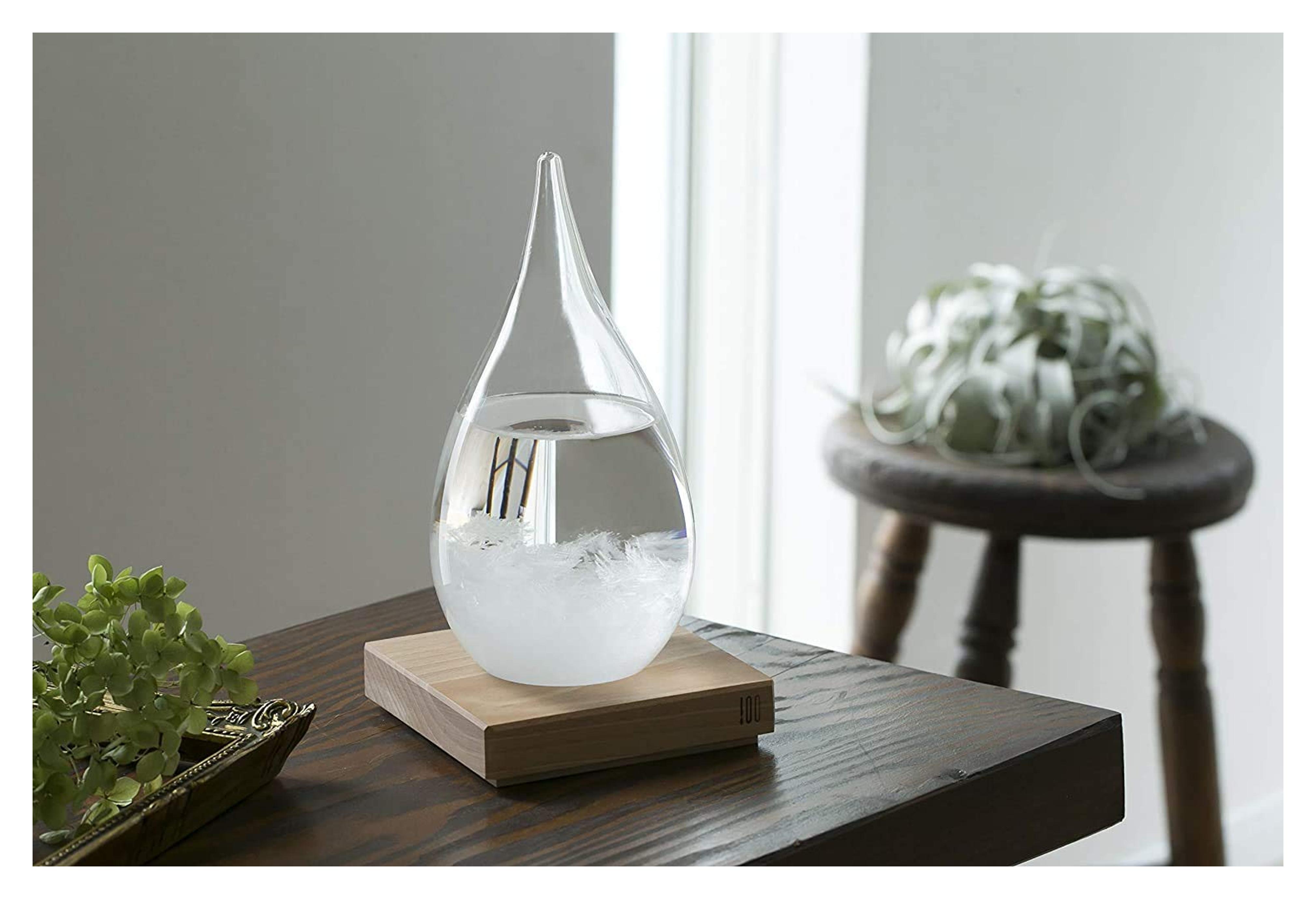 Tempo Drop Weather Forecast Storm Glass, Large