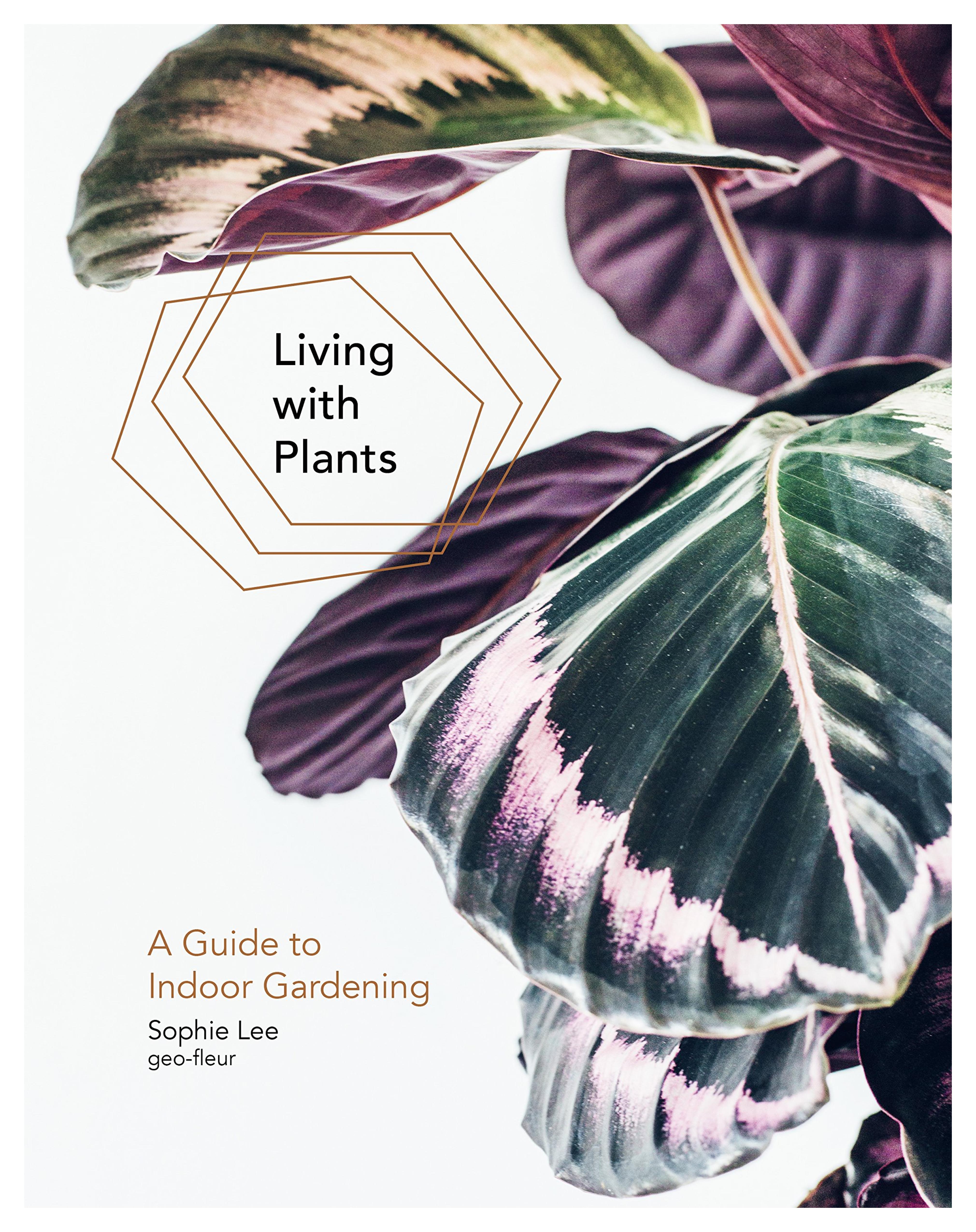 Living with Plants: A Guide to Indoor Gardening