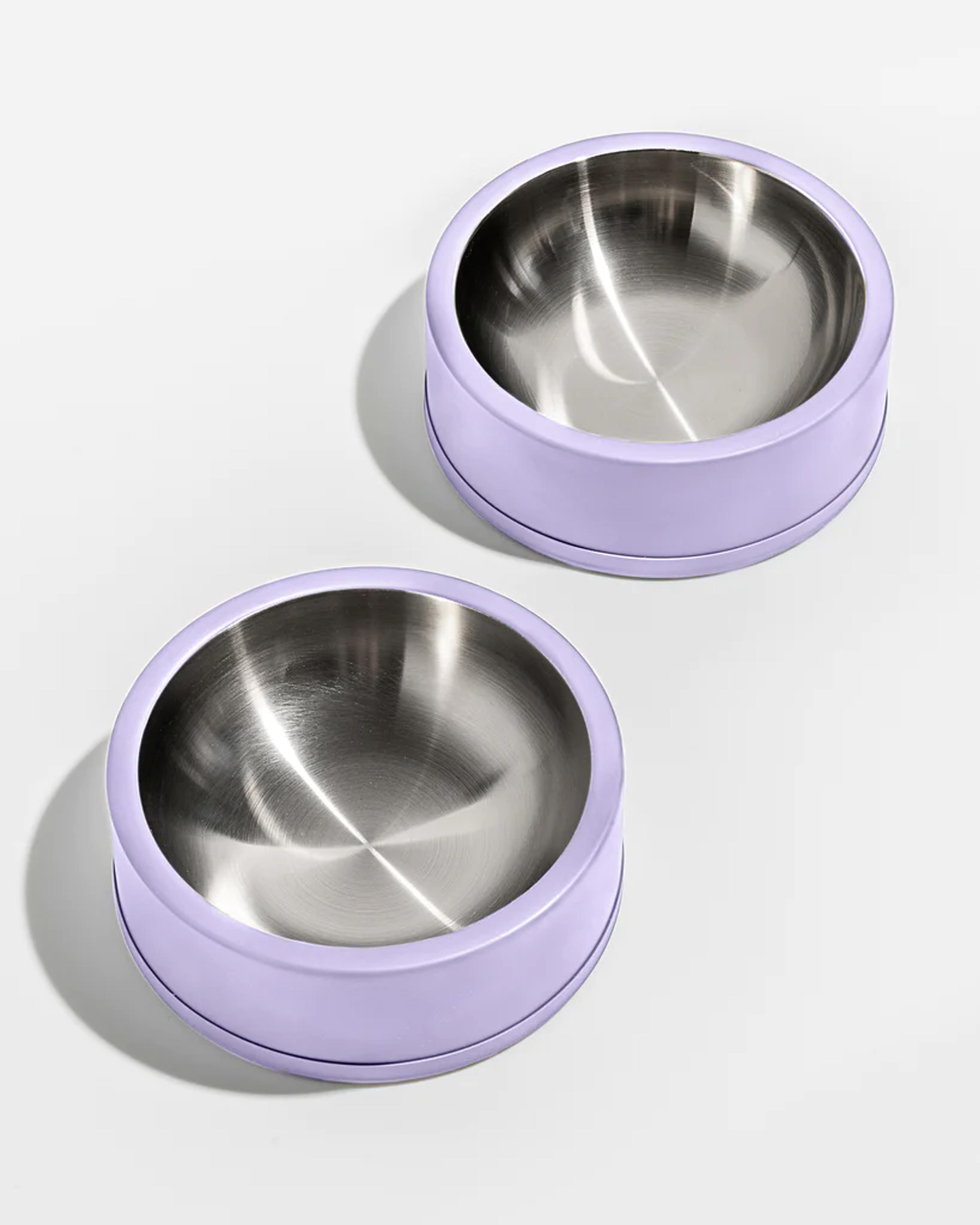 Stainless Steel Dog Bowl Set - Wild One