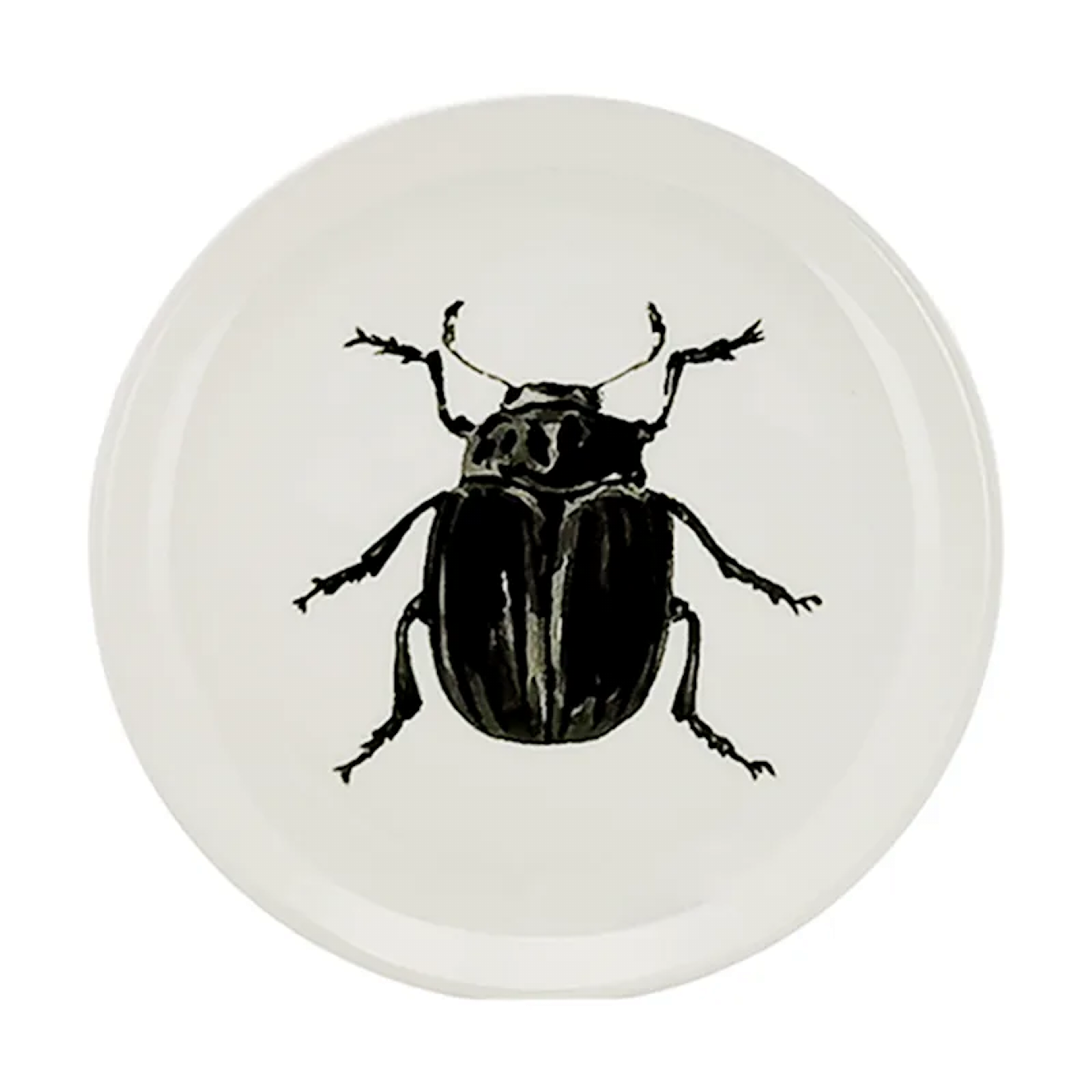 Set of 4 Halloween Bug Dessert Plates