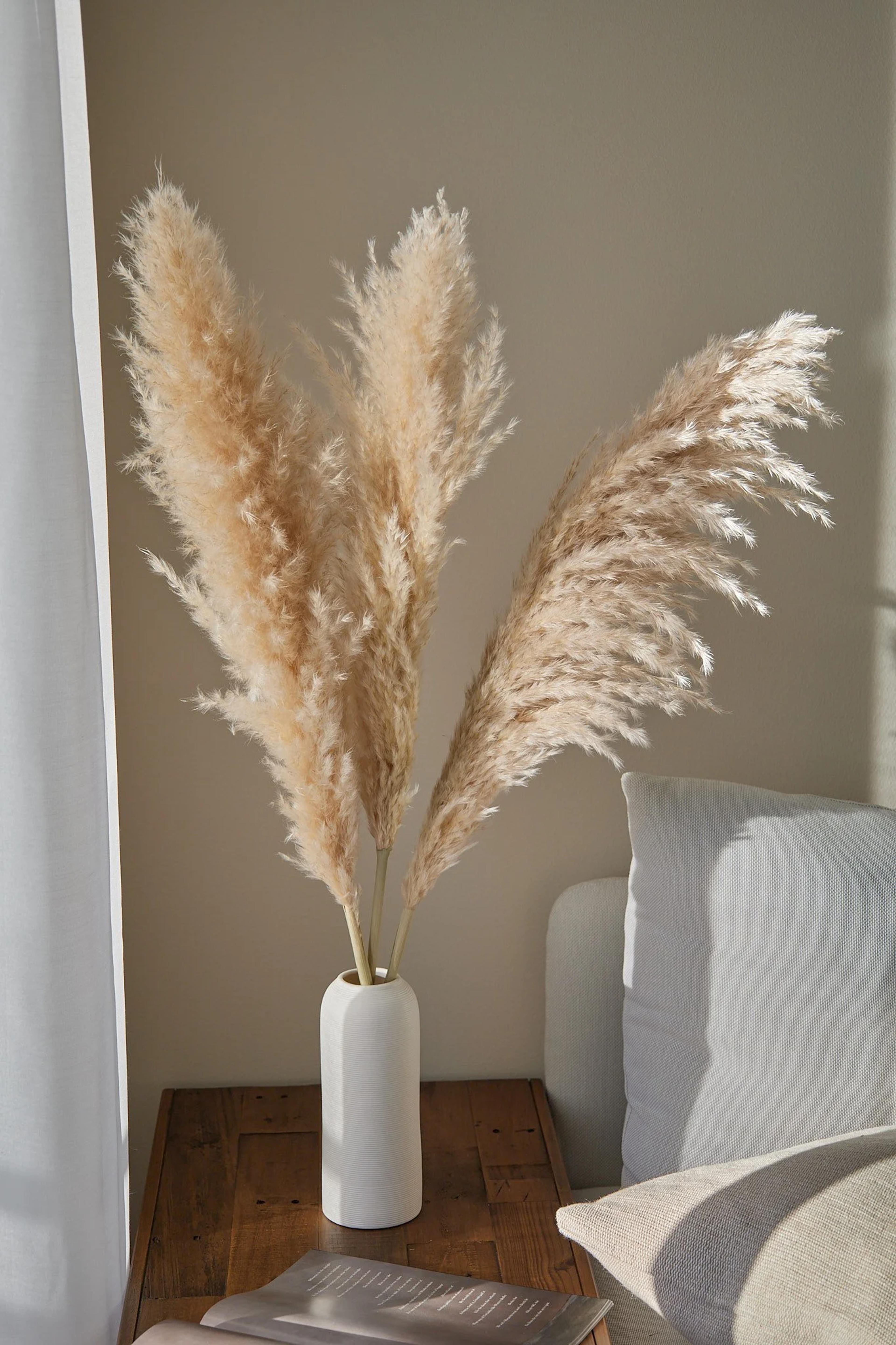 Medium PAMPAS GRASS (3 stems) Fluffy Natural Dried Large 37" tall - For Love Of Pampas