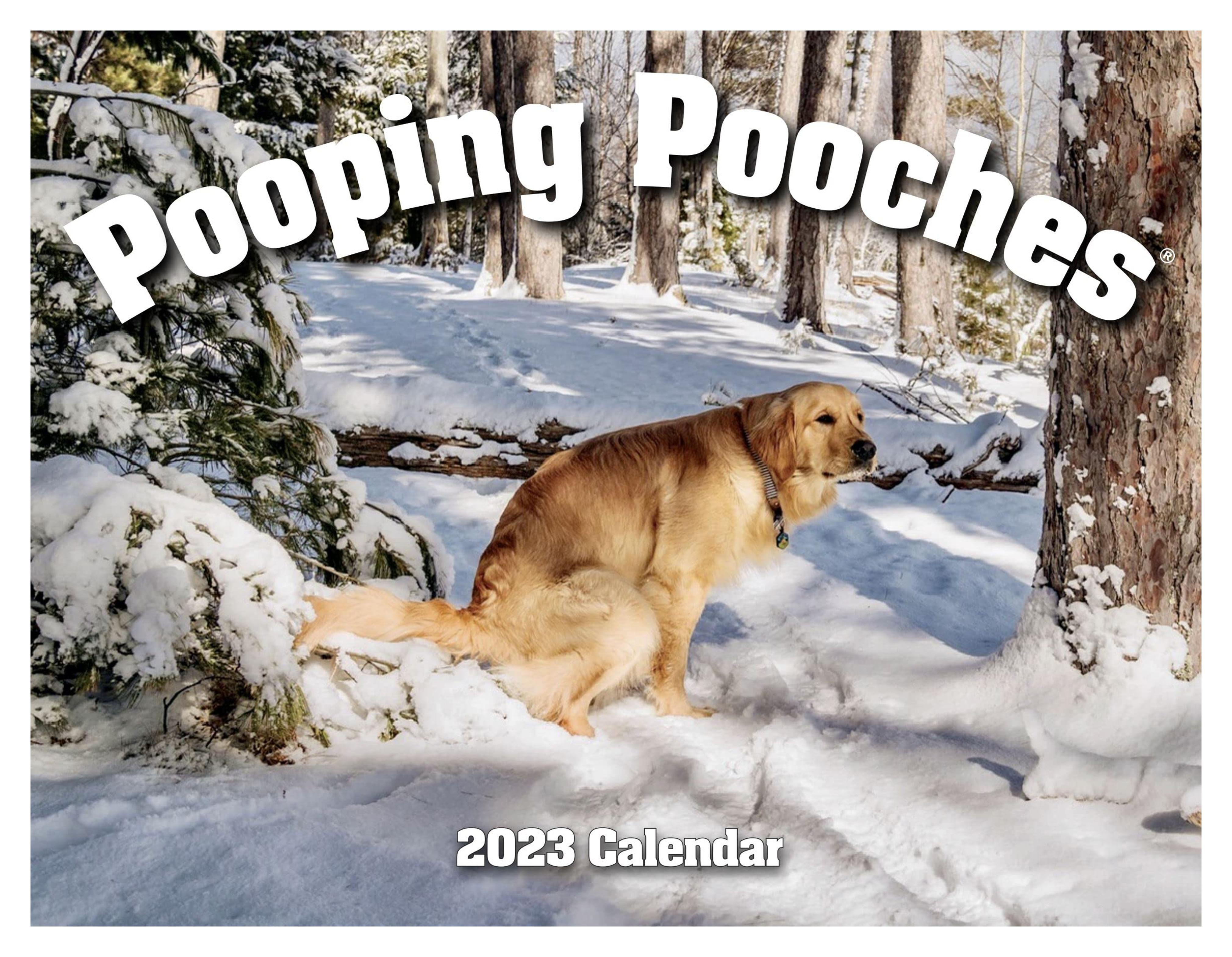 Pooping Pooches White Elephant Gag Gift Calendar