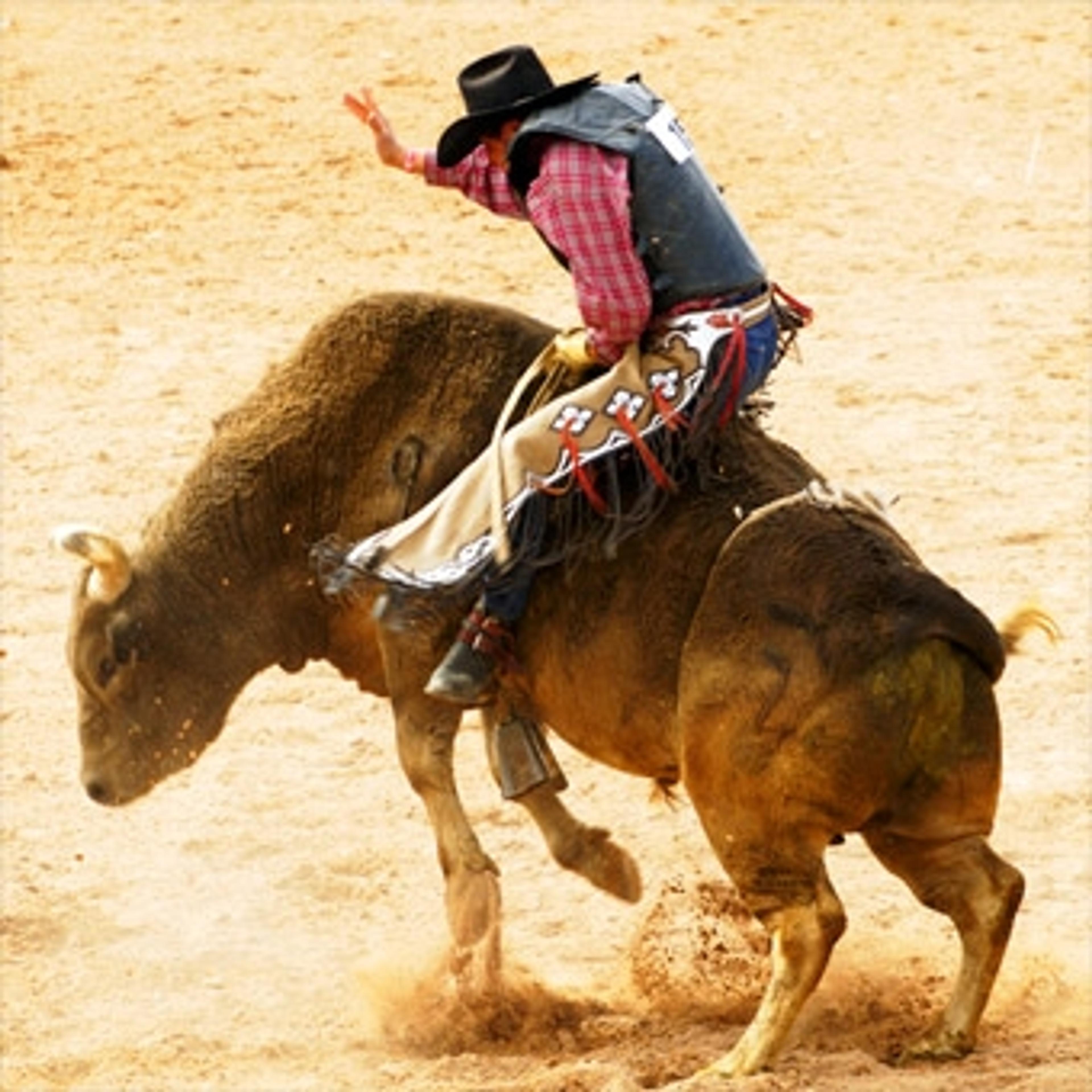 Bull Riding School