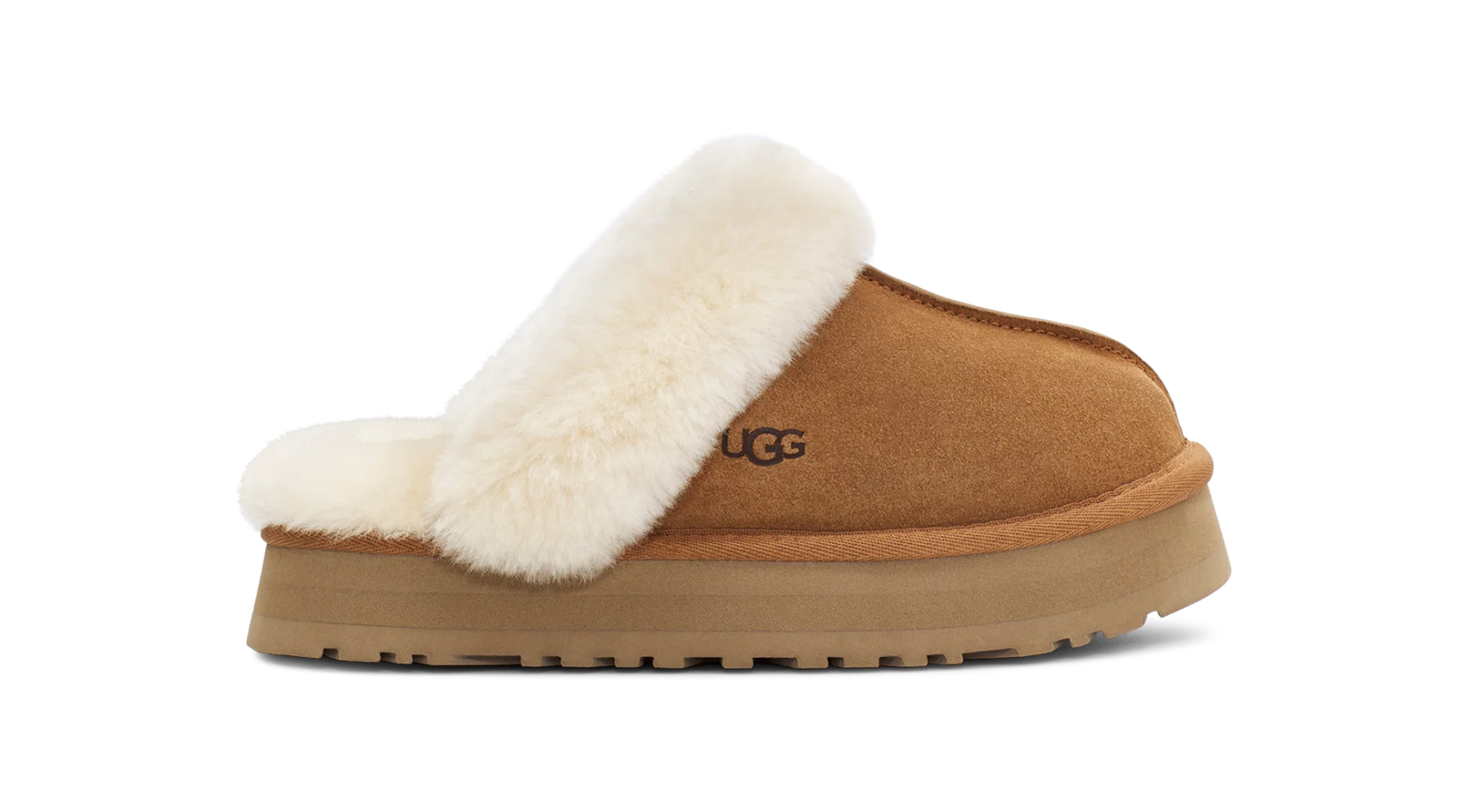 Disquette Slipper