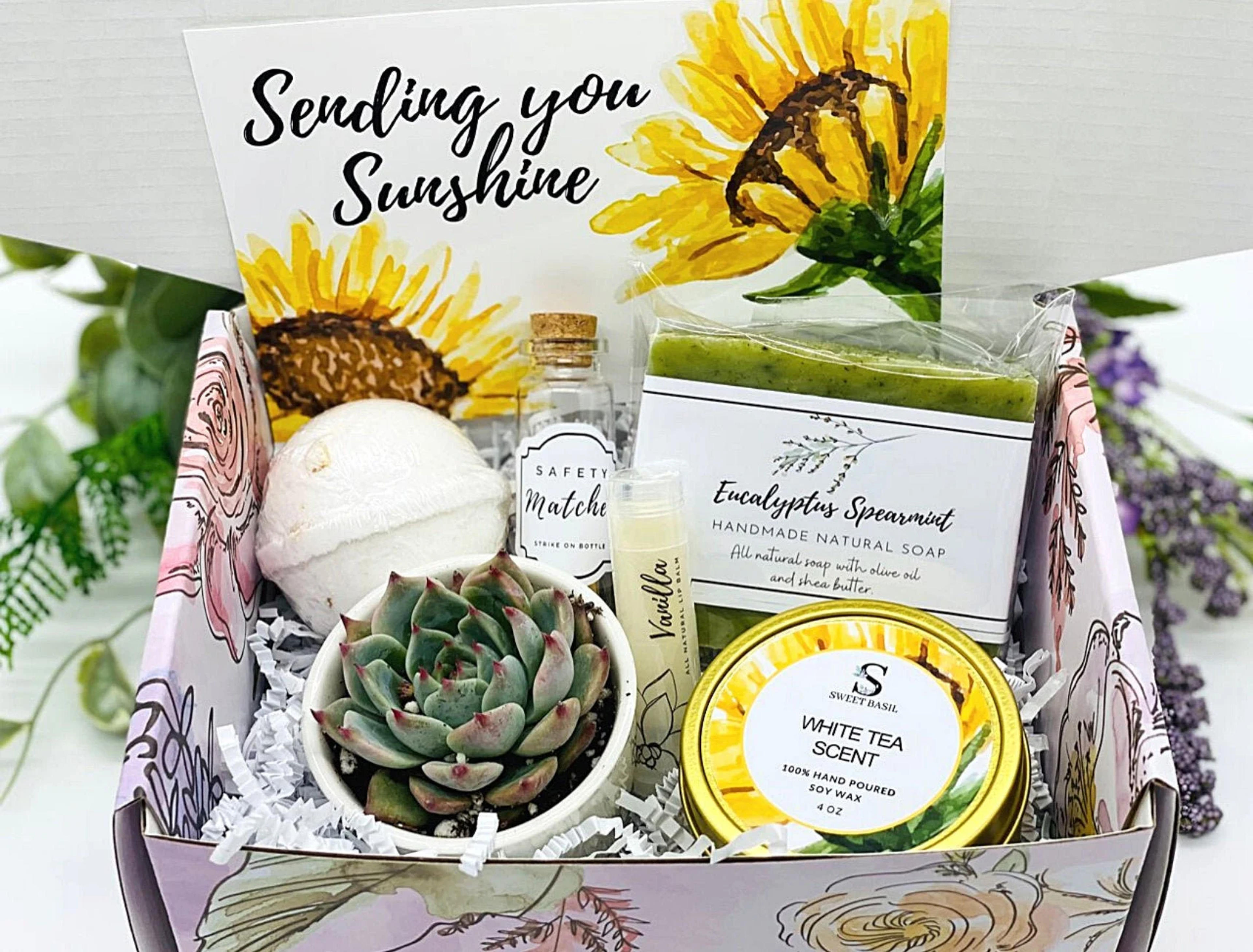 Thinking of You Succulent Gift Box Missing You Friendship Gift Box Care Package Thinking of You Gift FREE SHIPPING - Etsy Nigeria