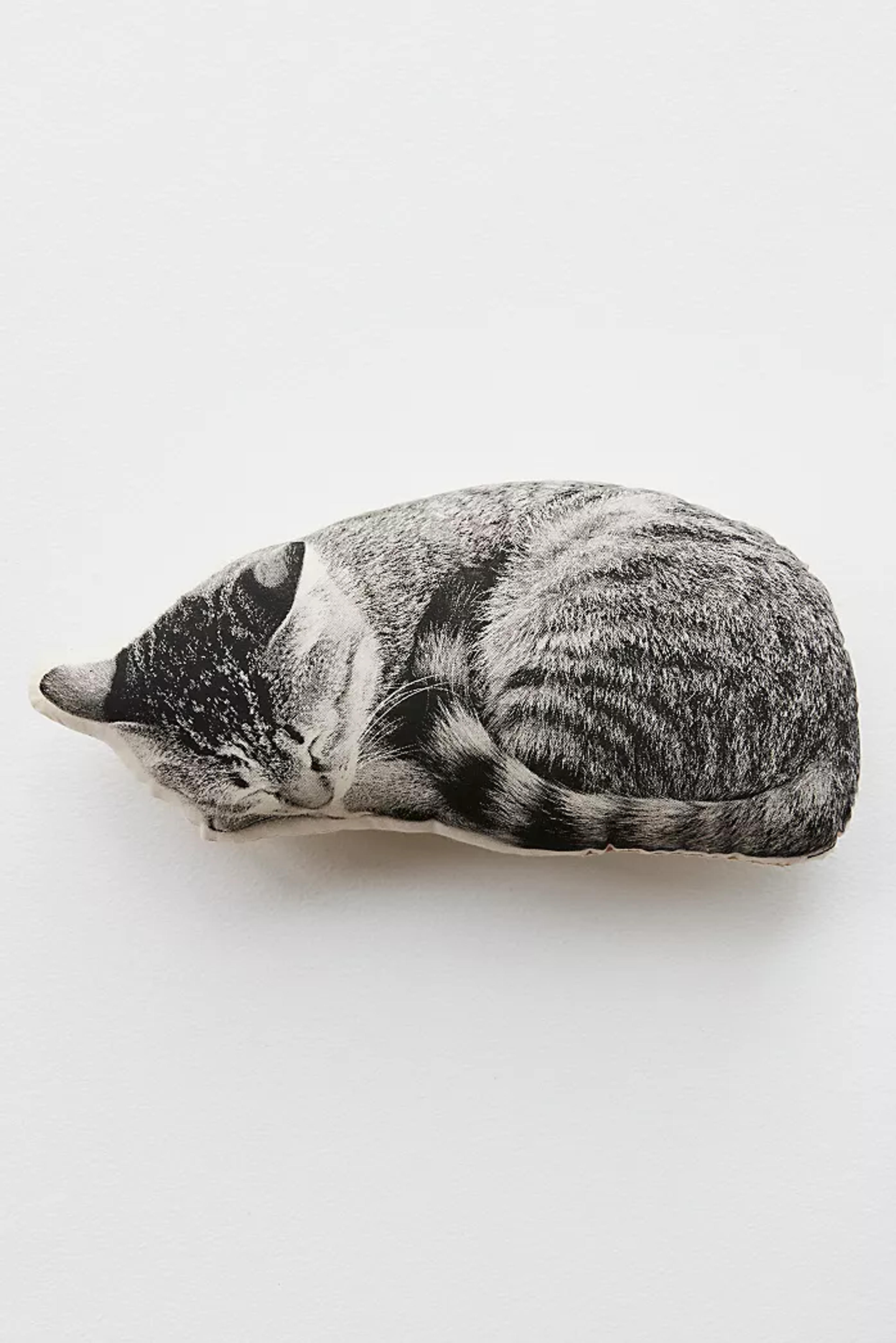 Silkscreen Sleeping Cat Pillow | Free People